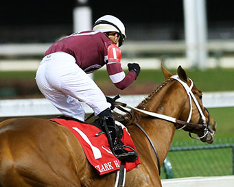 Gun Runner Clark block