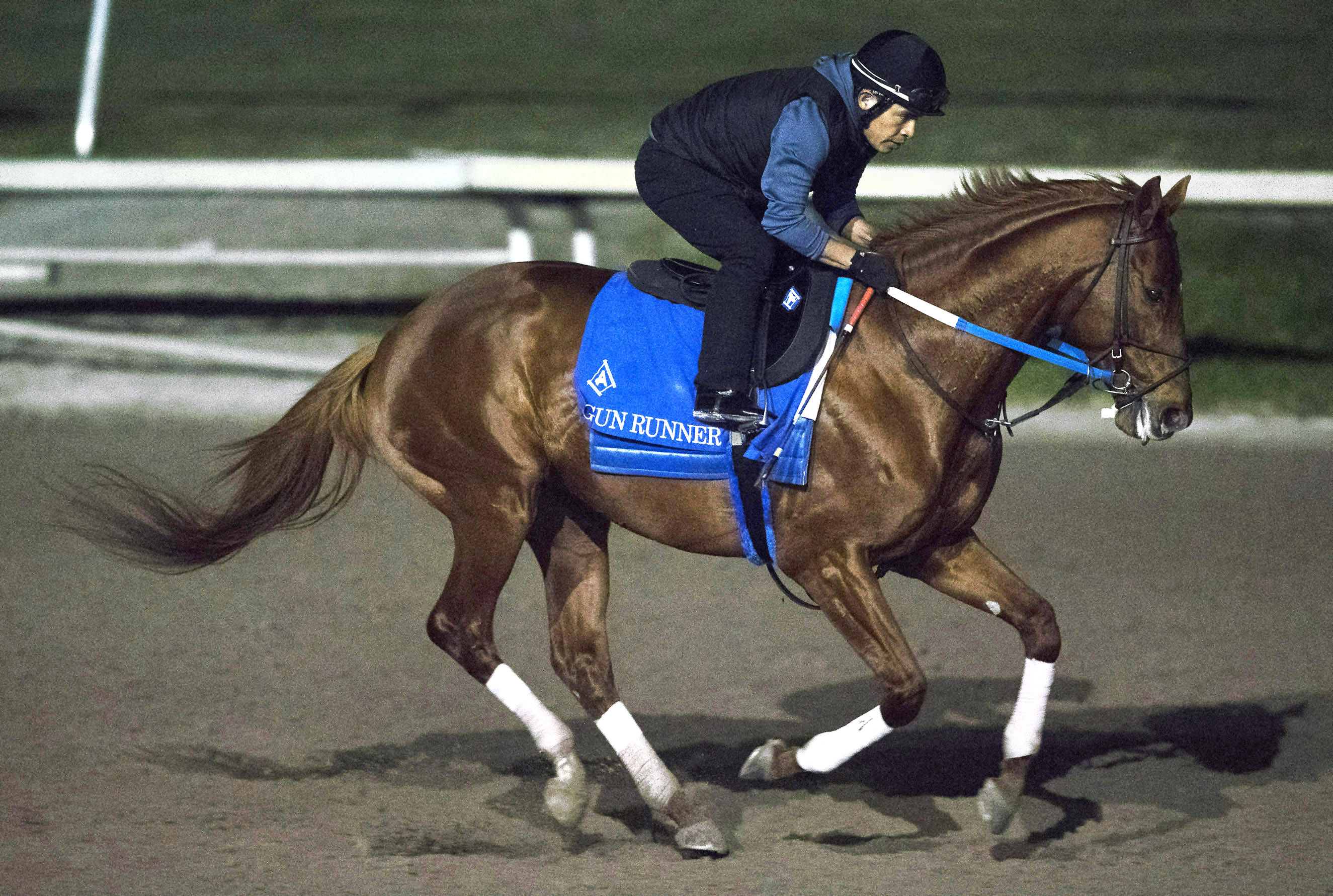 Gun Runner trains at Gulfstream Park on Jan. 19