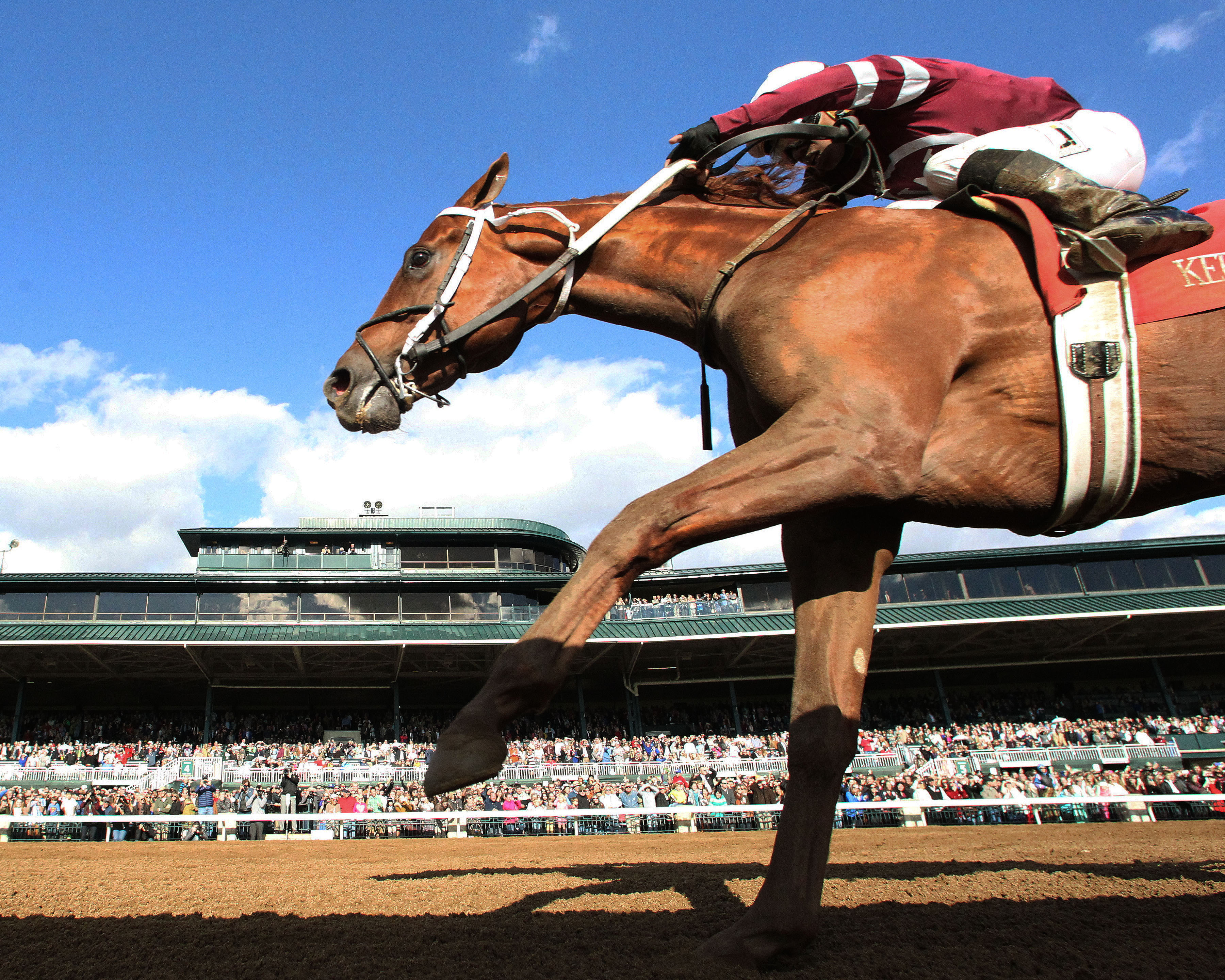 Gun Runner wins an allowance race at Keeneland