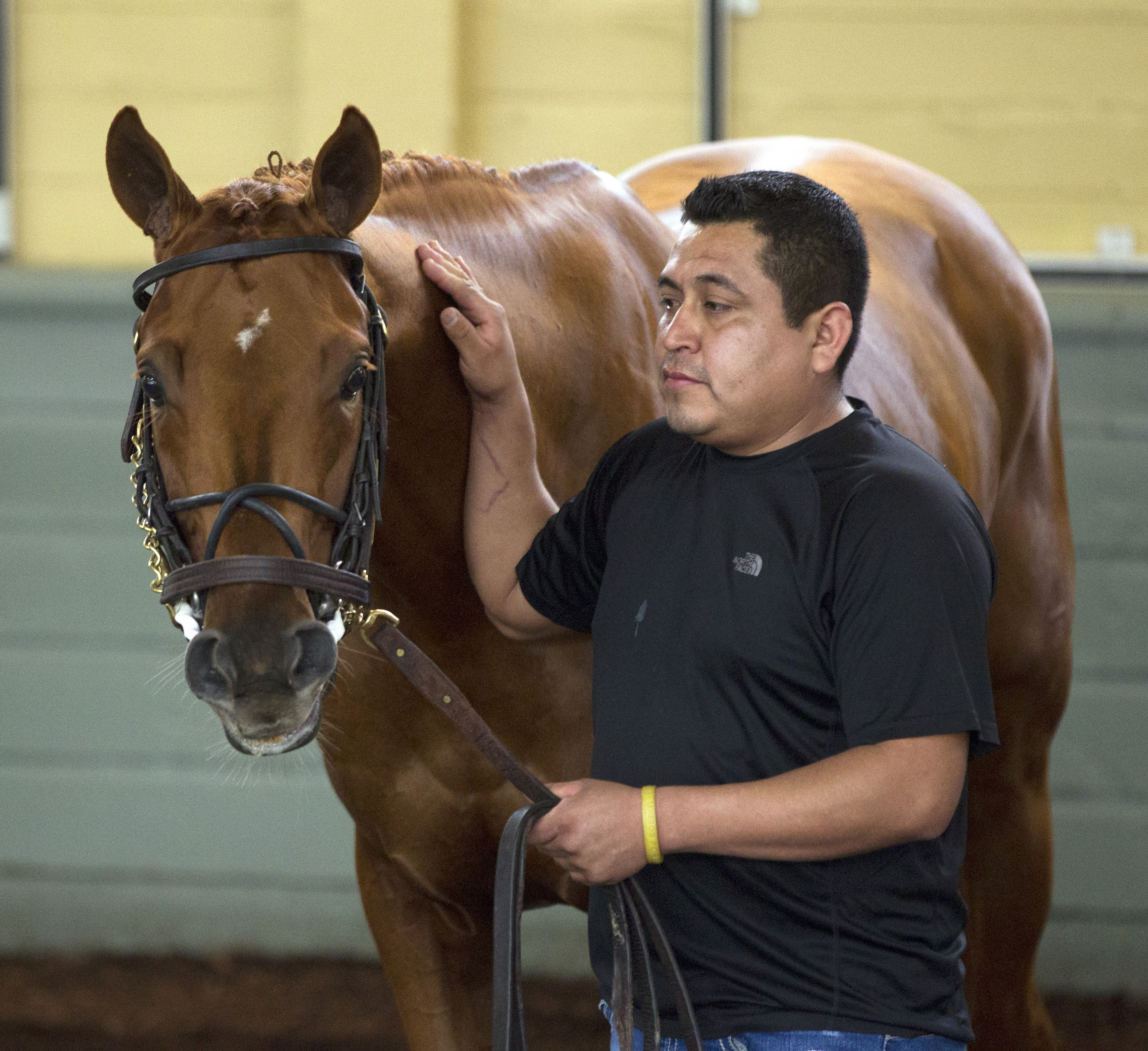 Gun Runner on Oct. 27