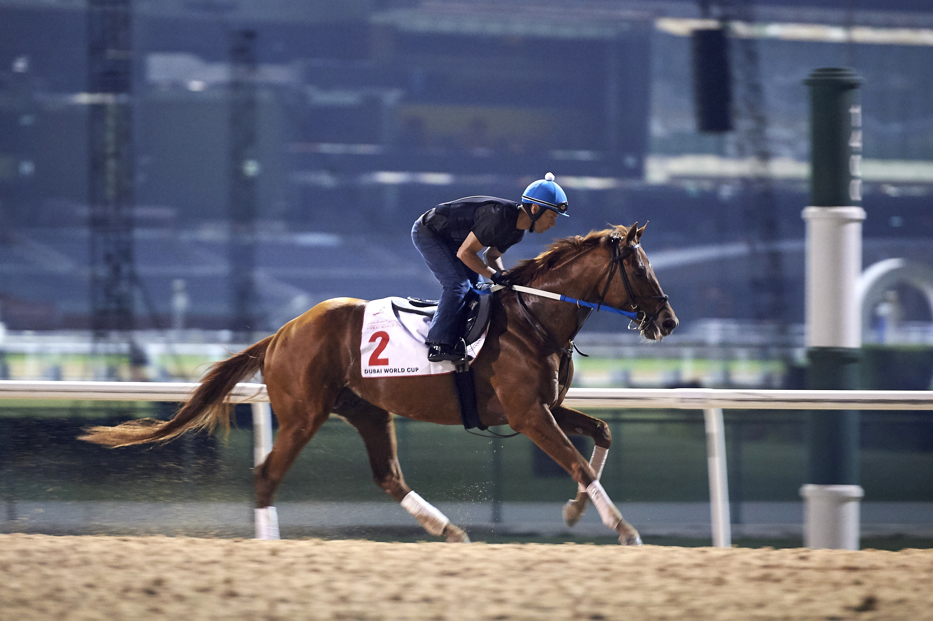 Gun Runner trains at Meydan Racecourse