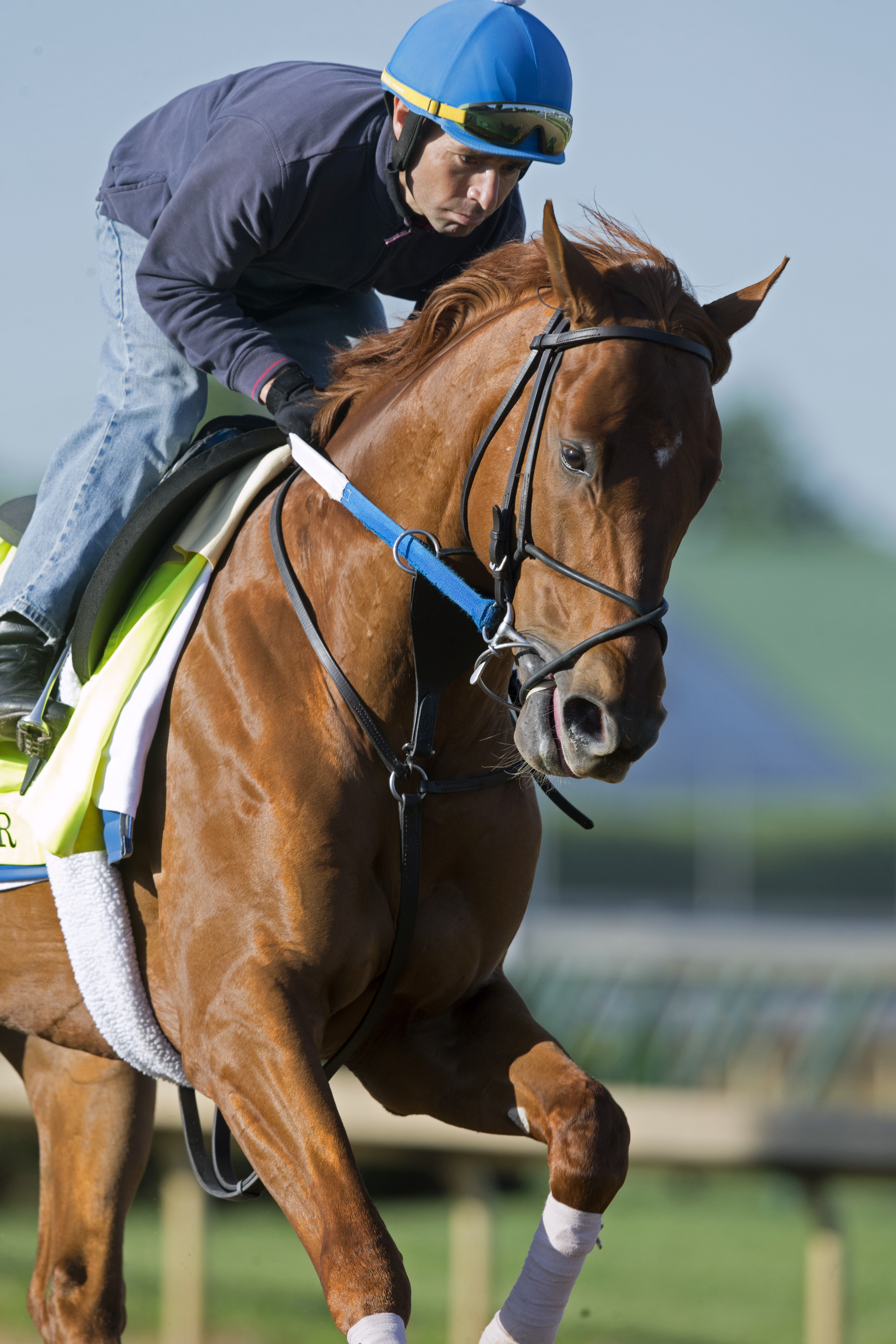 Gun Runner training at Churchill on April 29