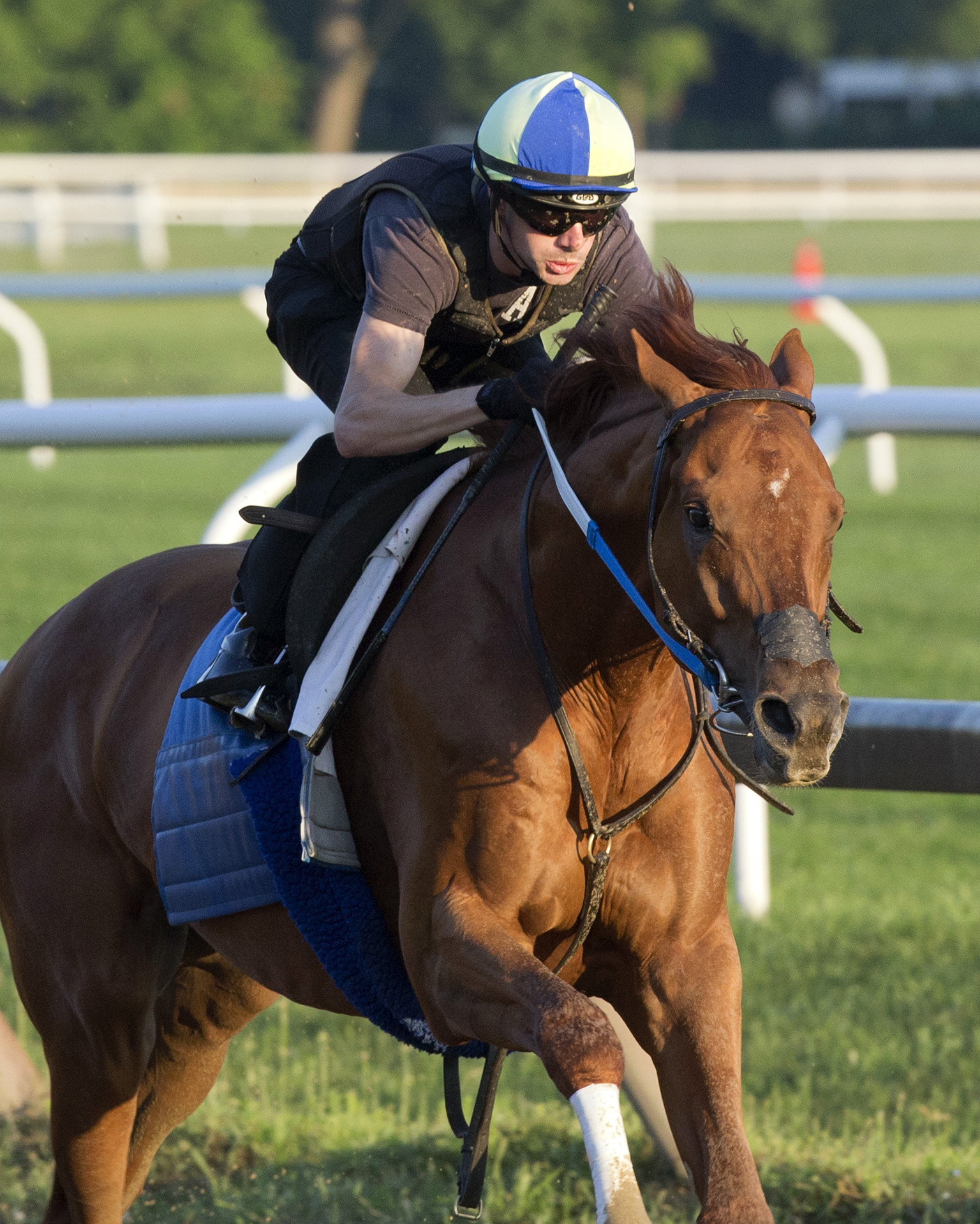Gun Runner trains at Saratoga on July 18