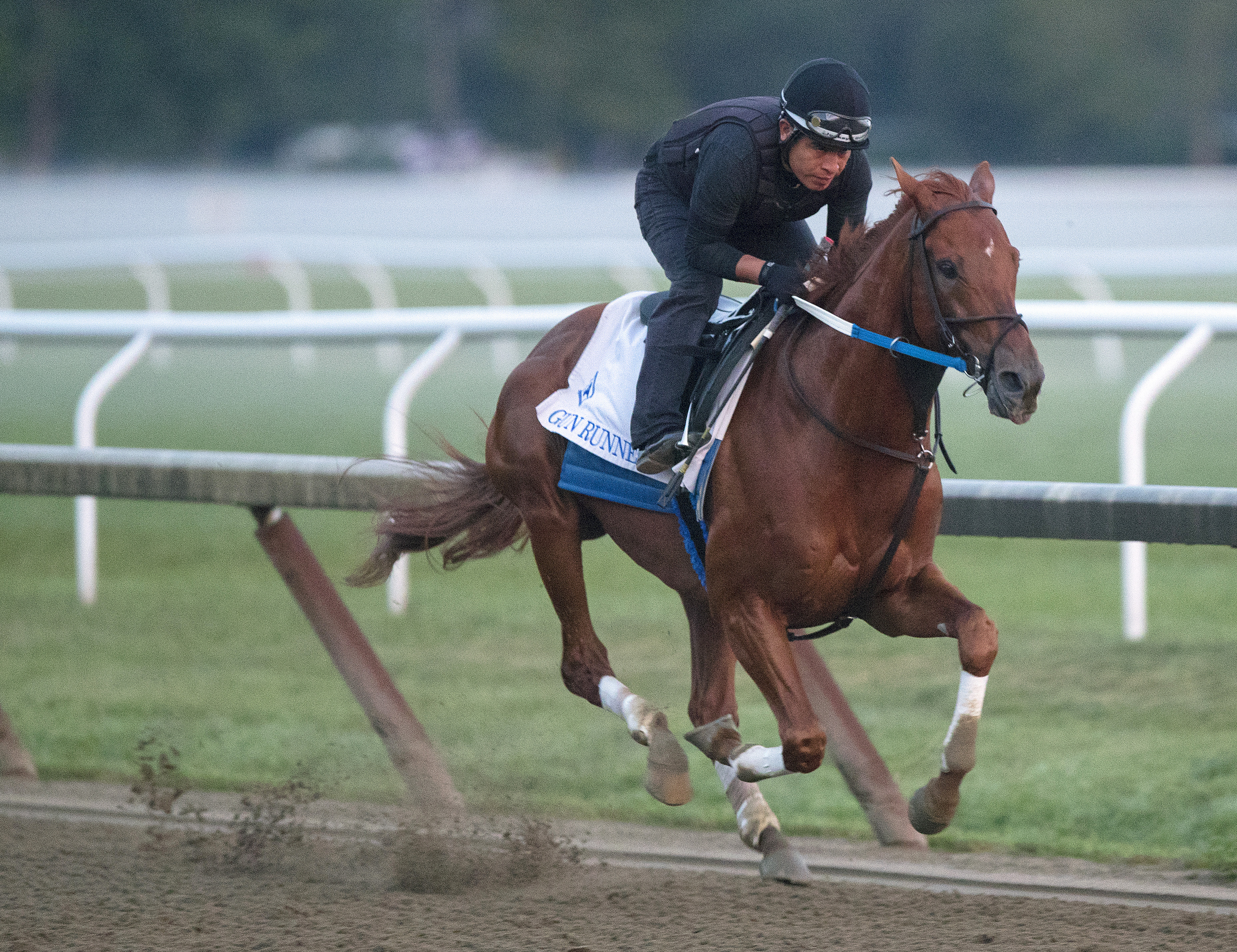 Gun Runner trains at Saratoga on Aug. 14