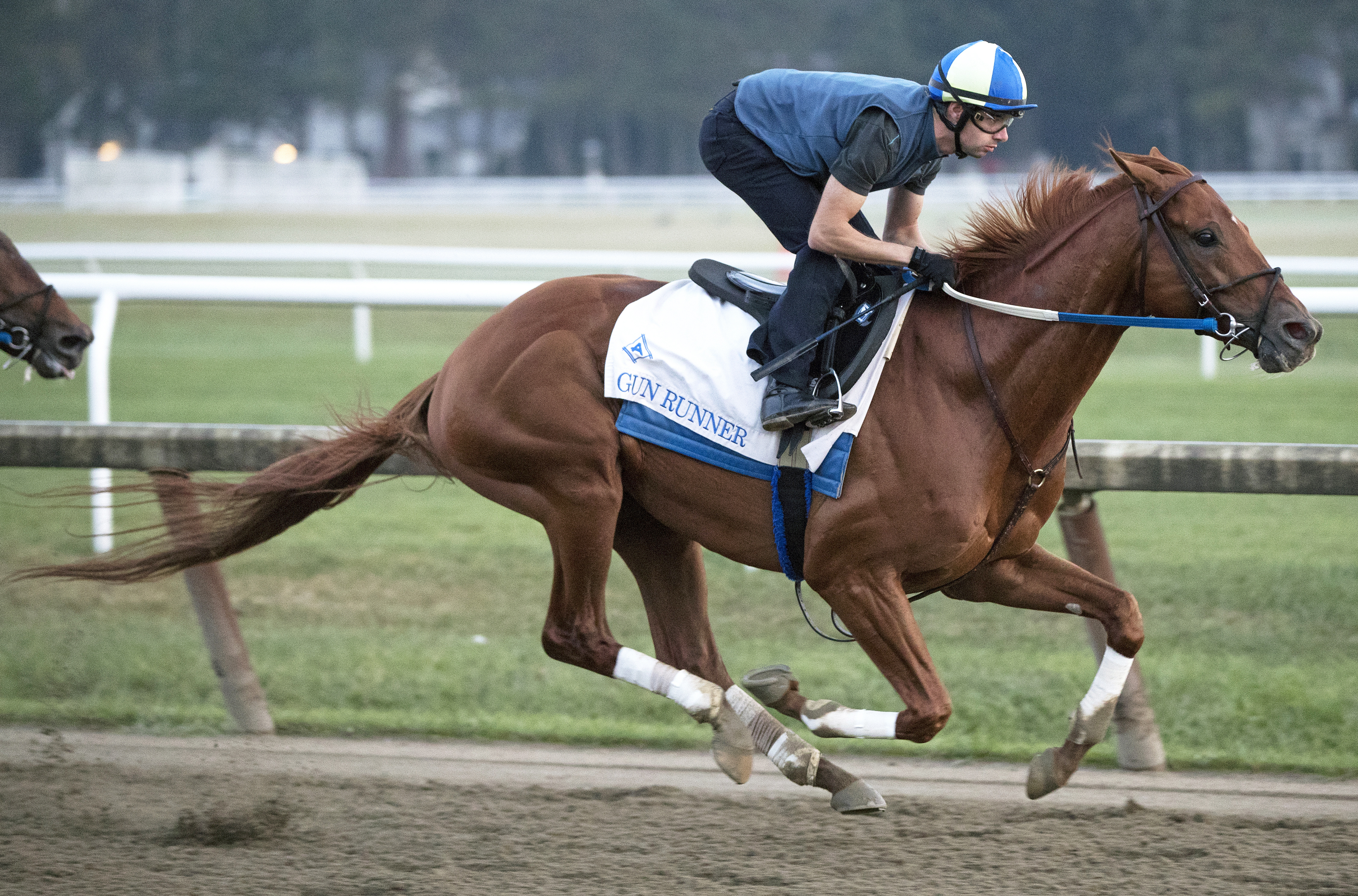 Gun Runner trains at Saratoga on Aug. 21