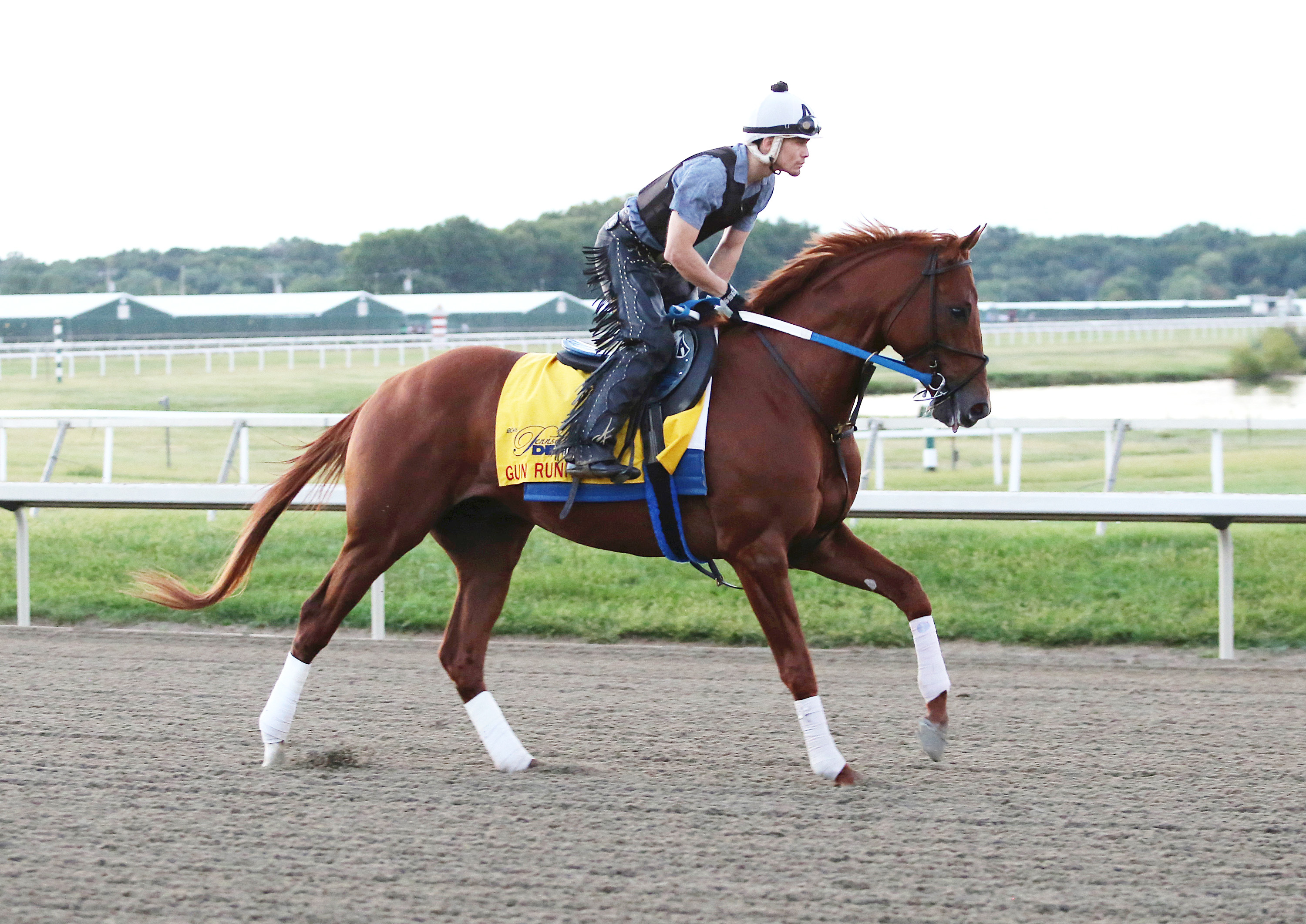 Gun Runner training at Parx Racing on Sept. 22