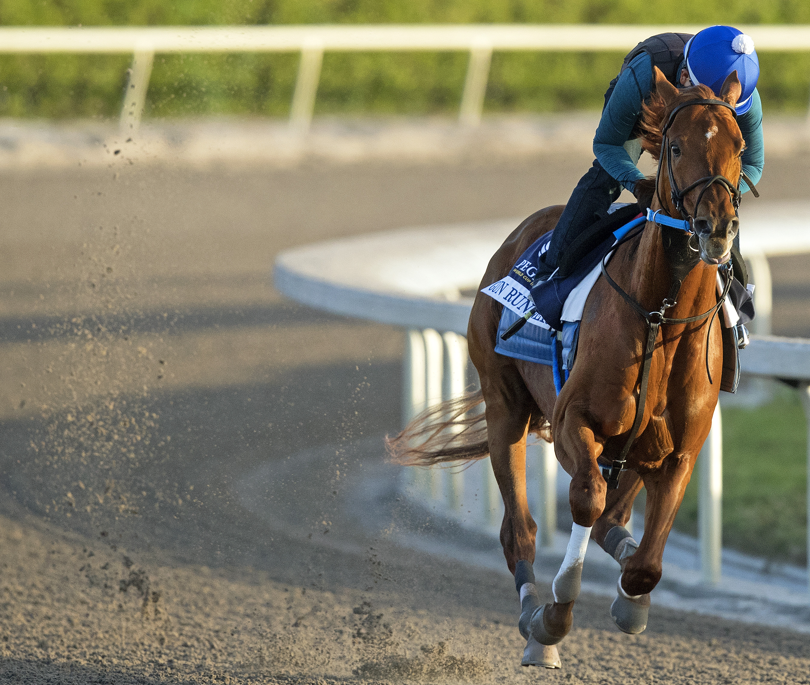 Gun Runner works at Gulfstream Park on Jan. 22