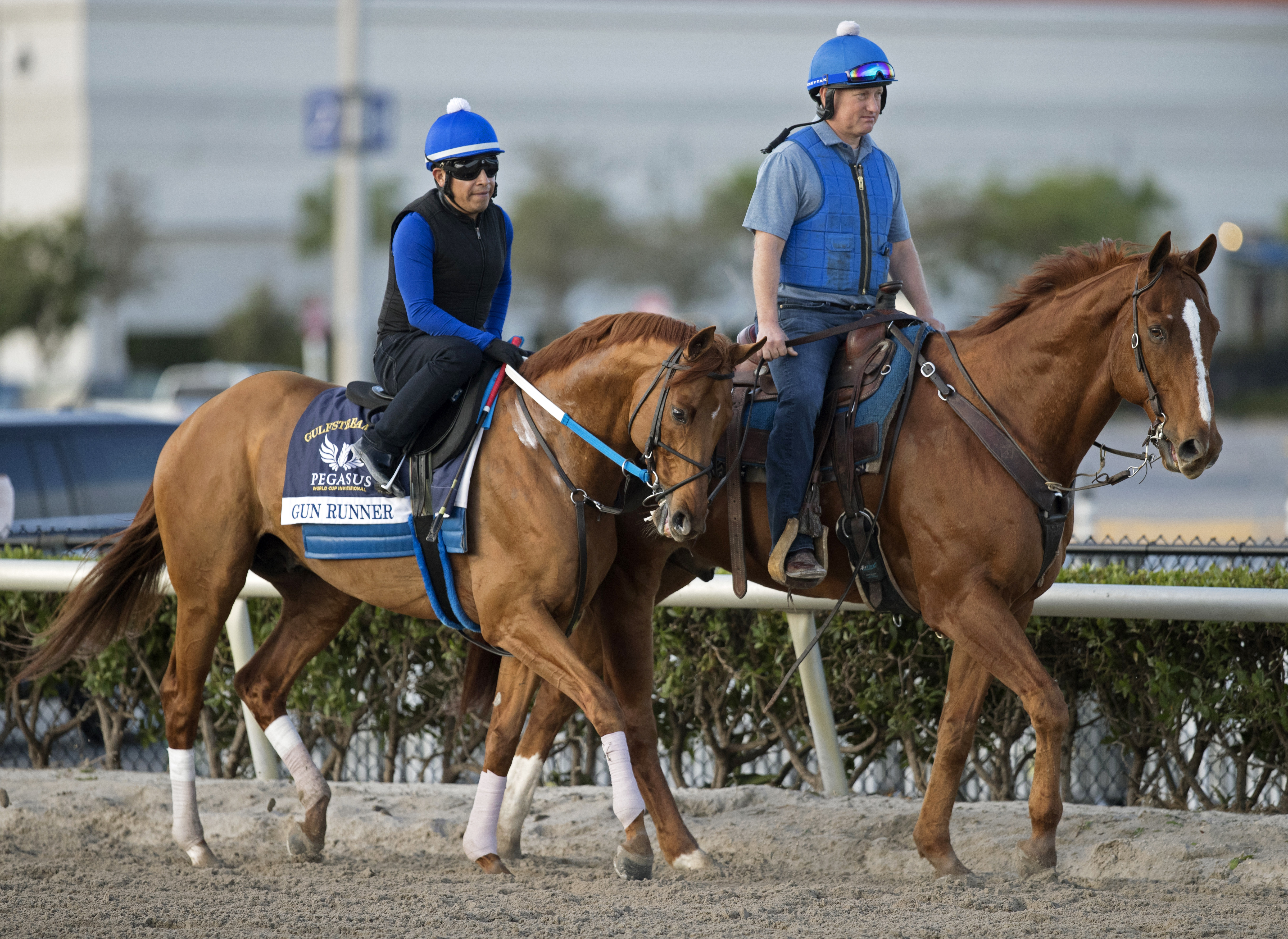 Gun Runner at Gulfstream on Jan. 25