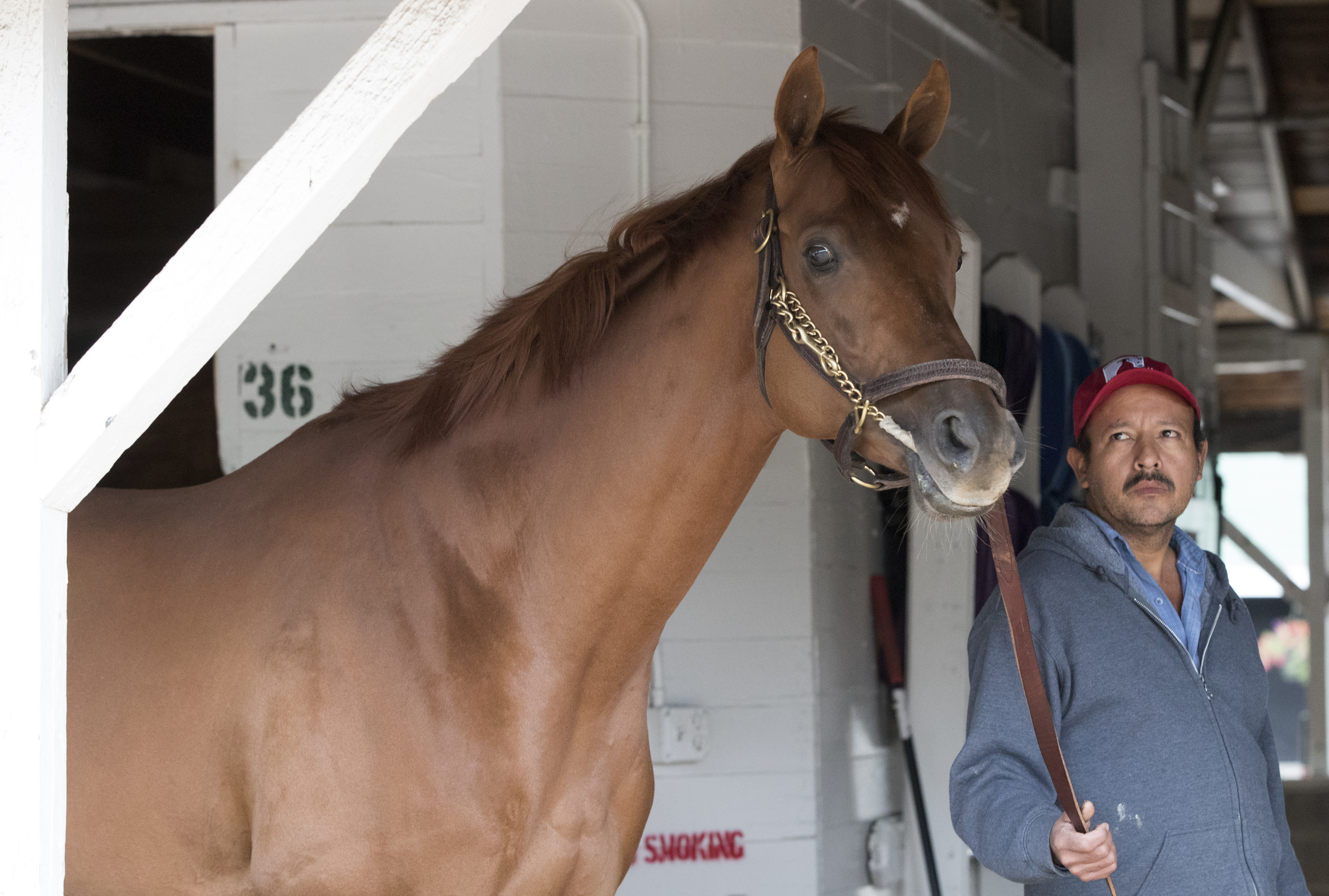 Gun Runner at Churchill on April 23