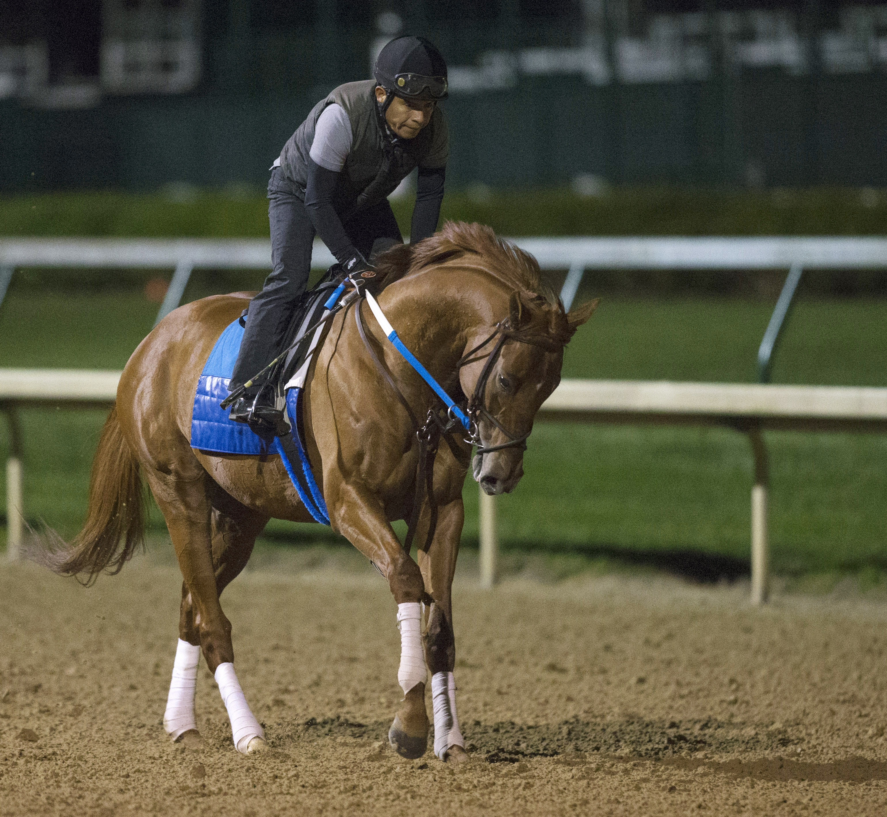 Gun Runner at Churchill on April 24