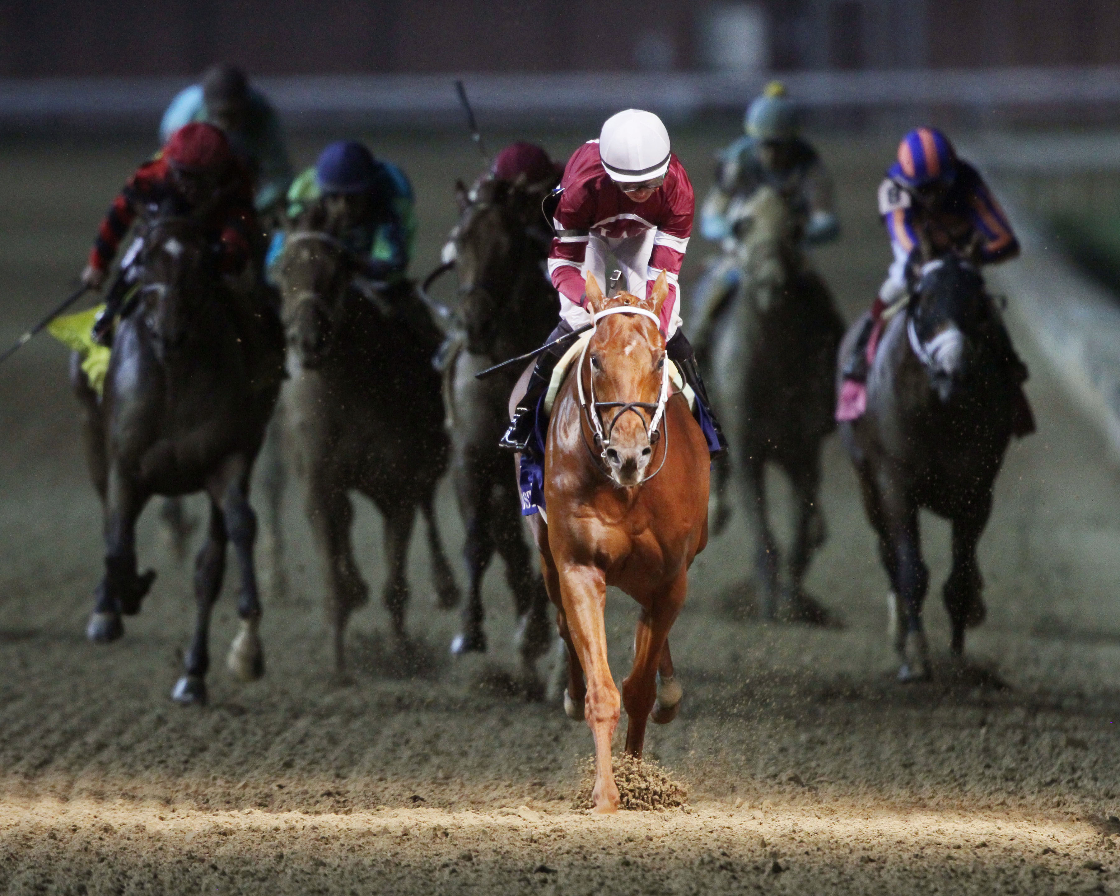 Gun Runner wins the Stephen Foster
