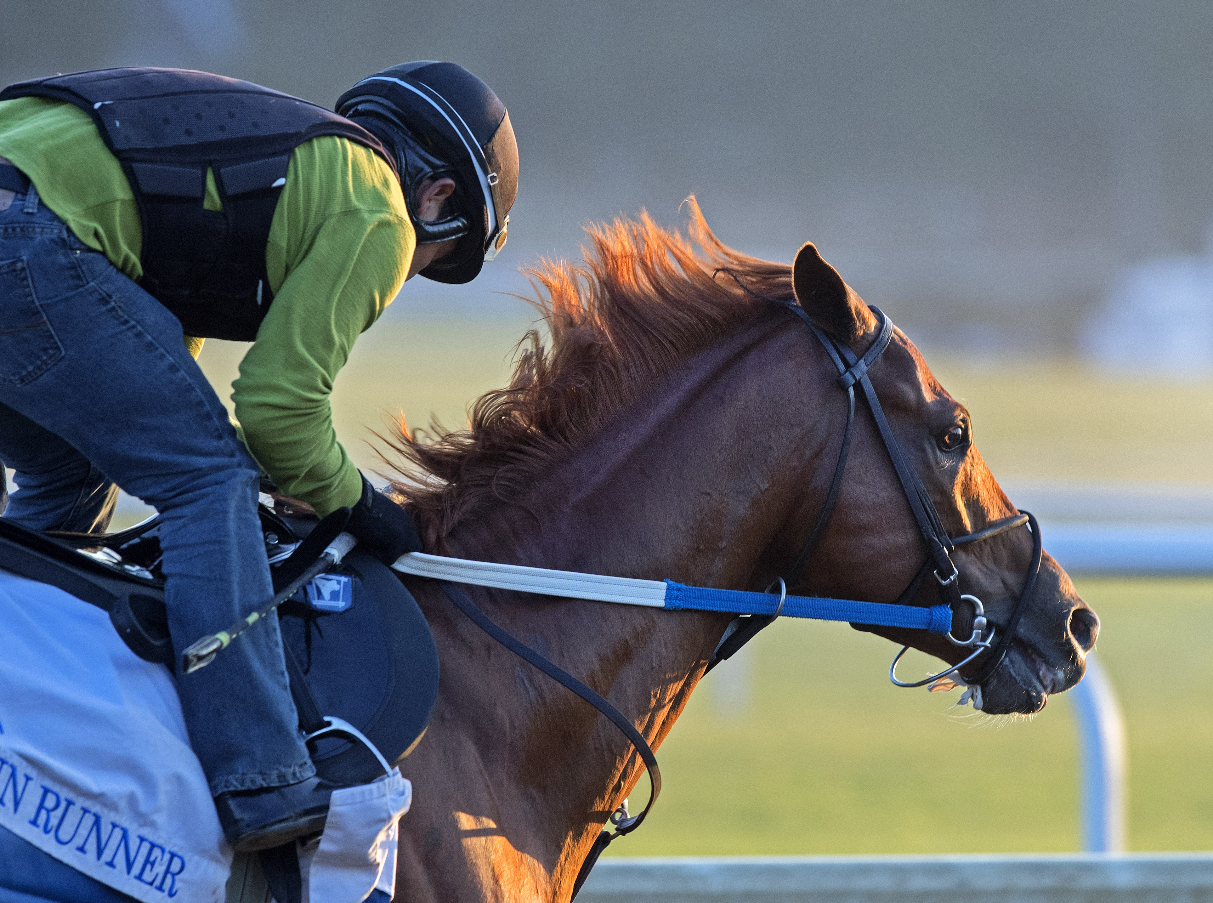 Gun Runner