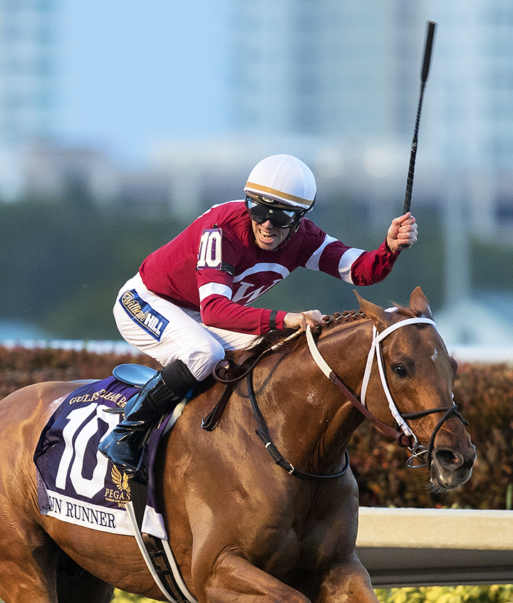Gun Runner - Eclipse Awards 2018