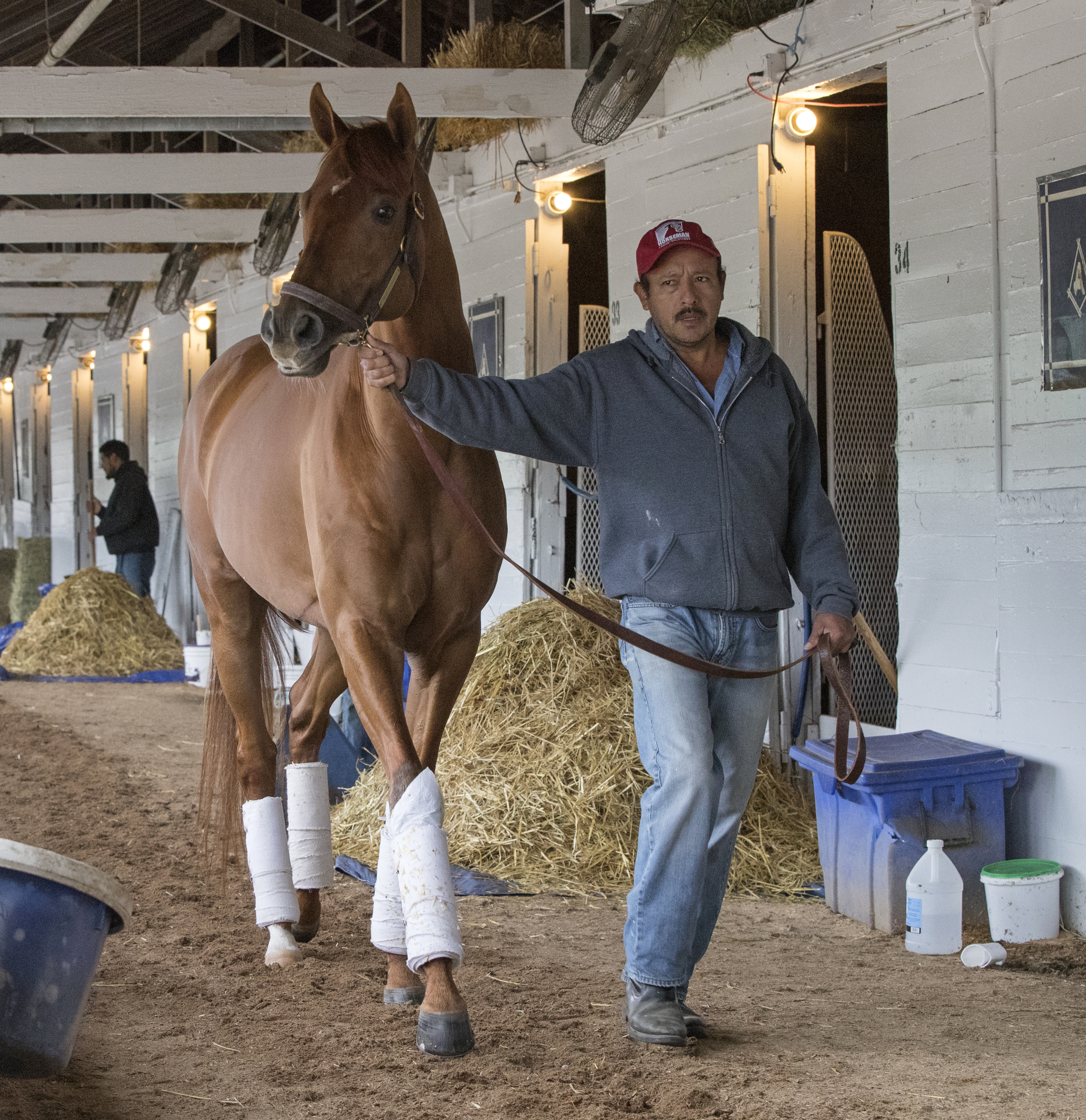 Gun Runner at Churchill on April 23