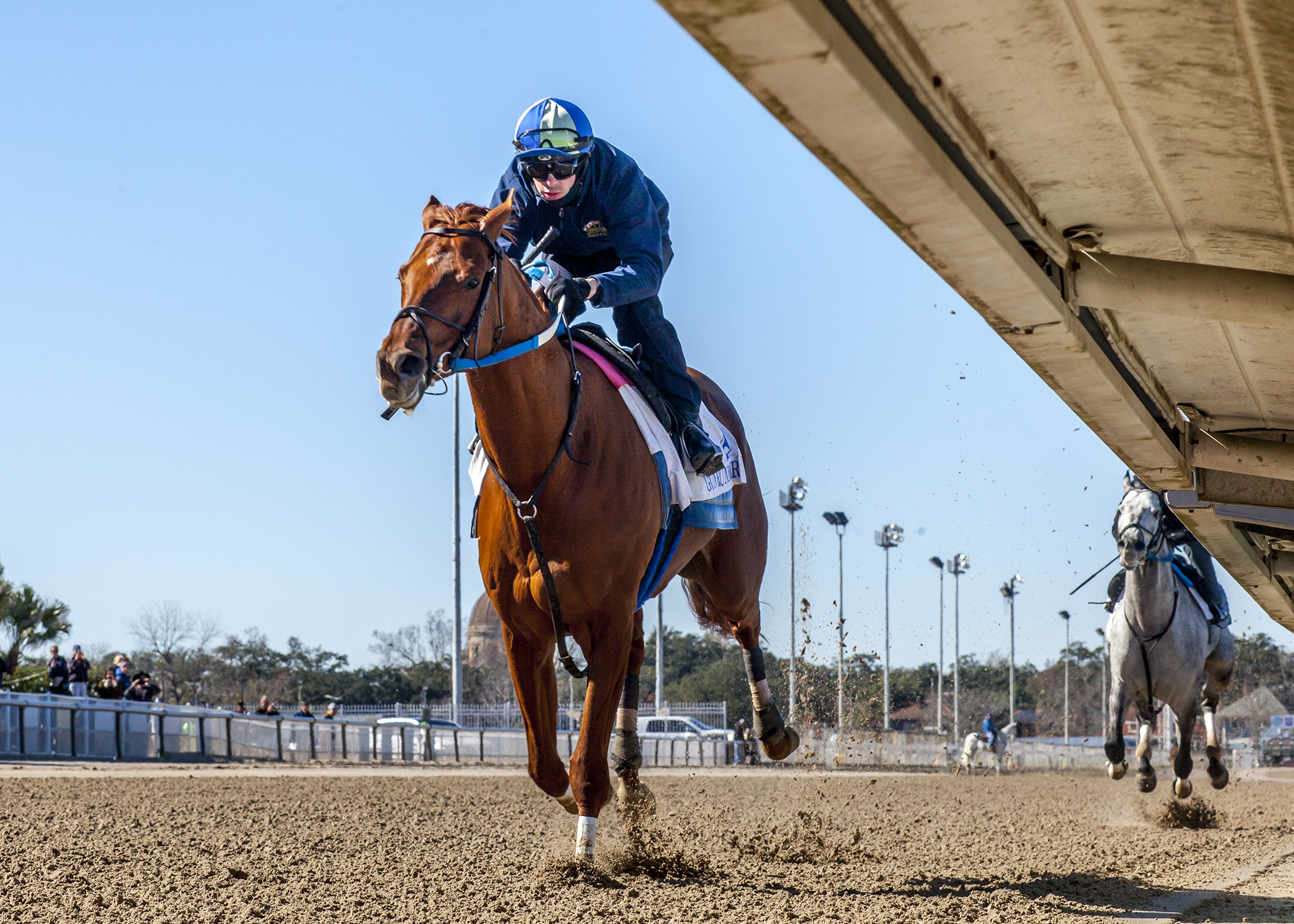Gun Runner works on Jan. 14, 2014