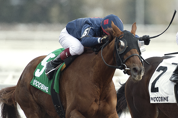 Gun Society wins the 2019 South Ocean Stakes at Woodbine Racetrack