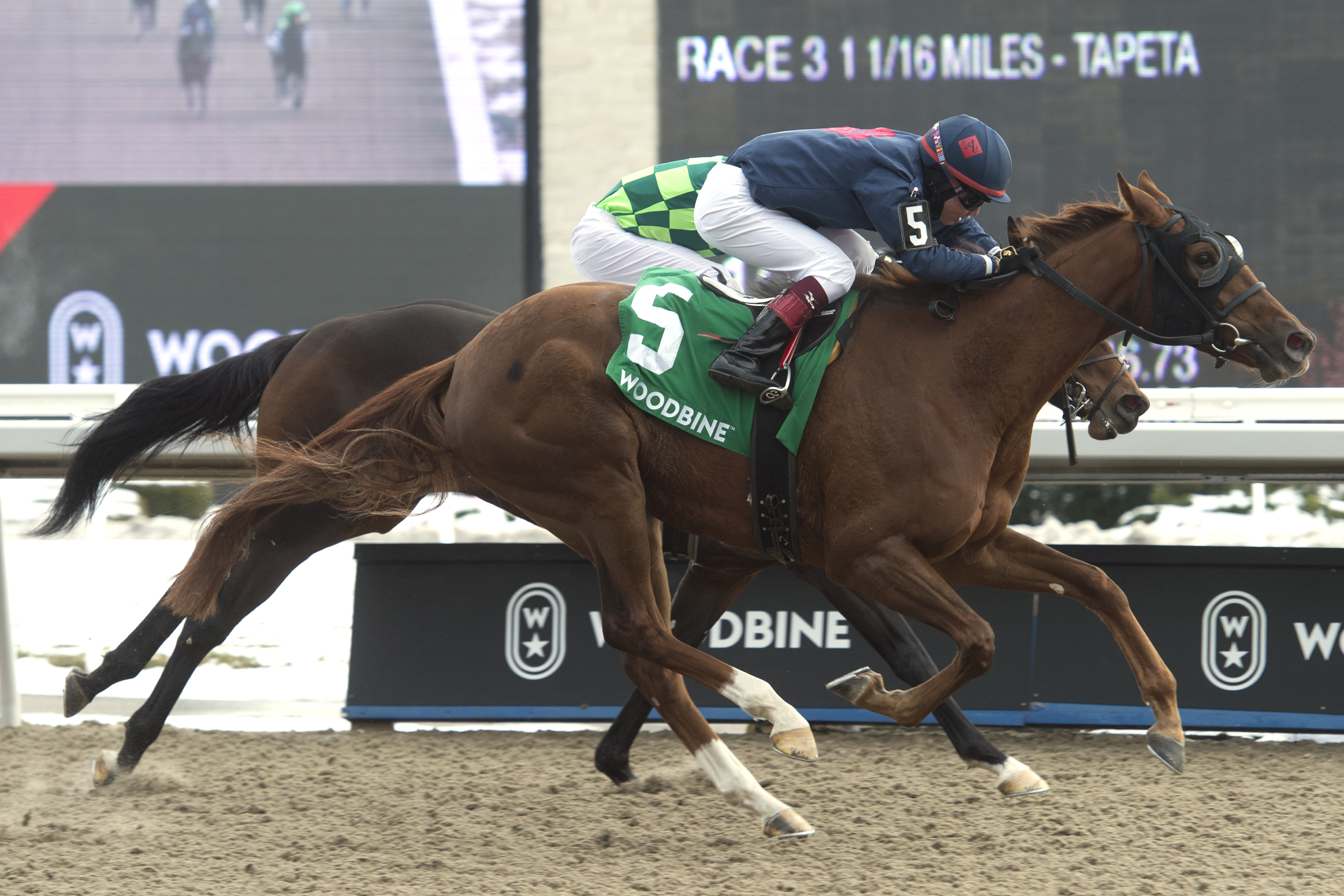 Gun Society wins the 2019 South Ocean Stakes