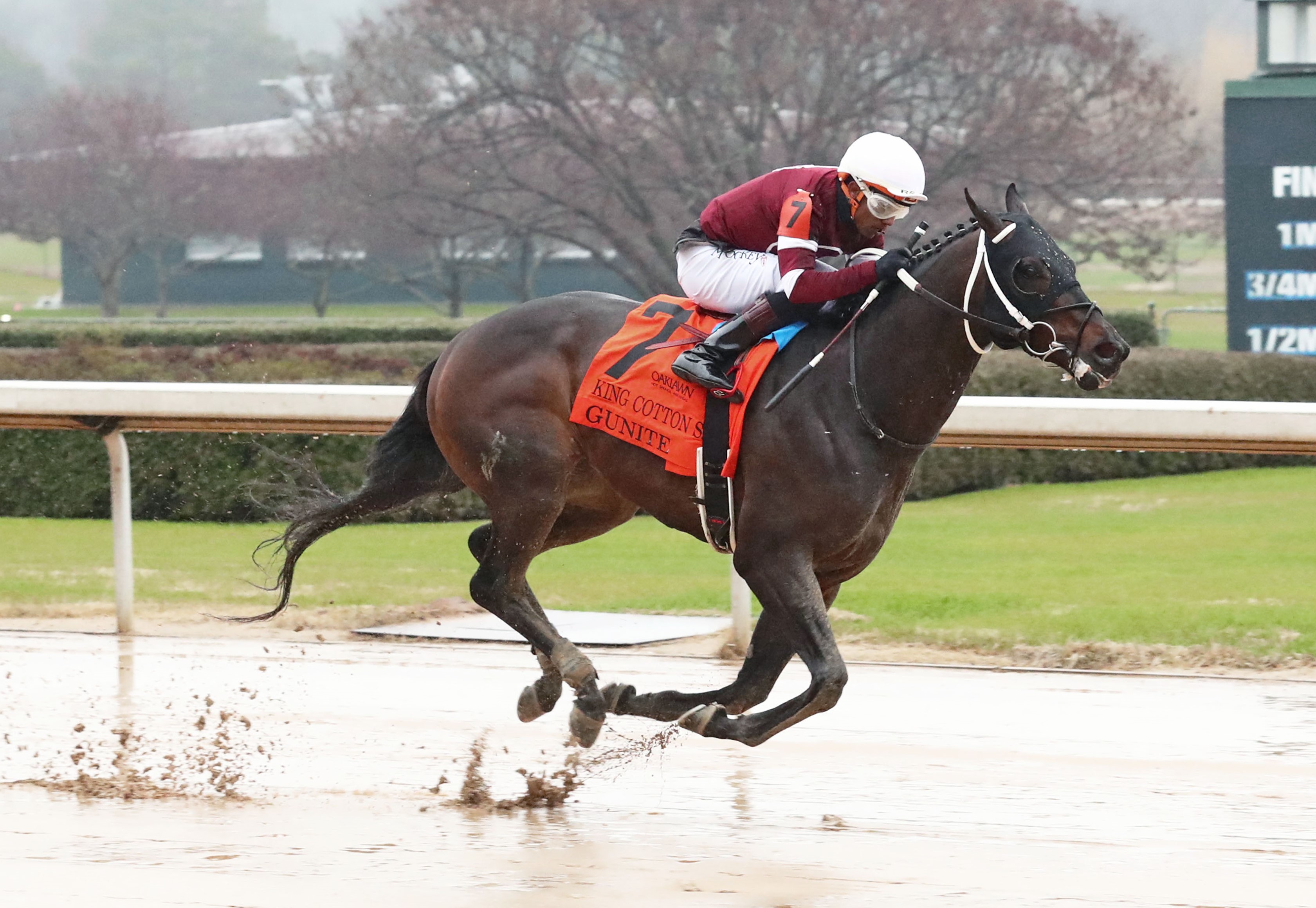 Gunite wins the King Cotton at OP Jan 28 2023