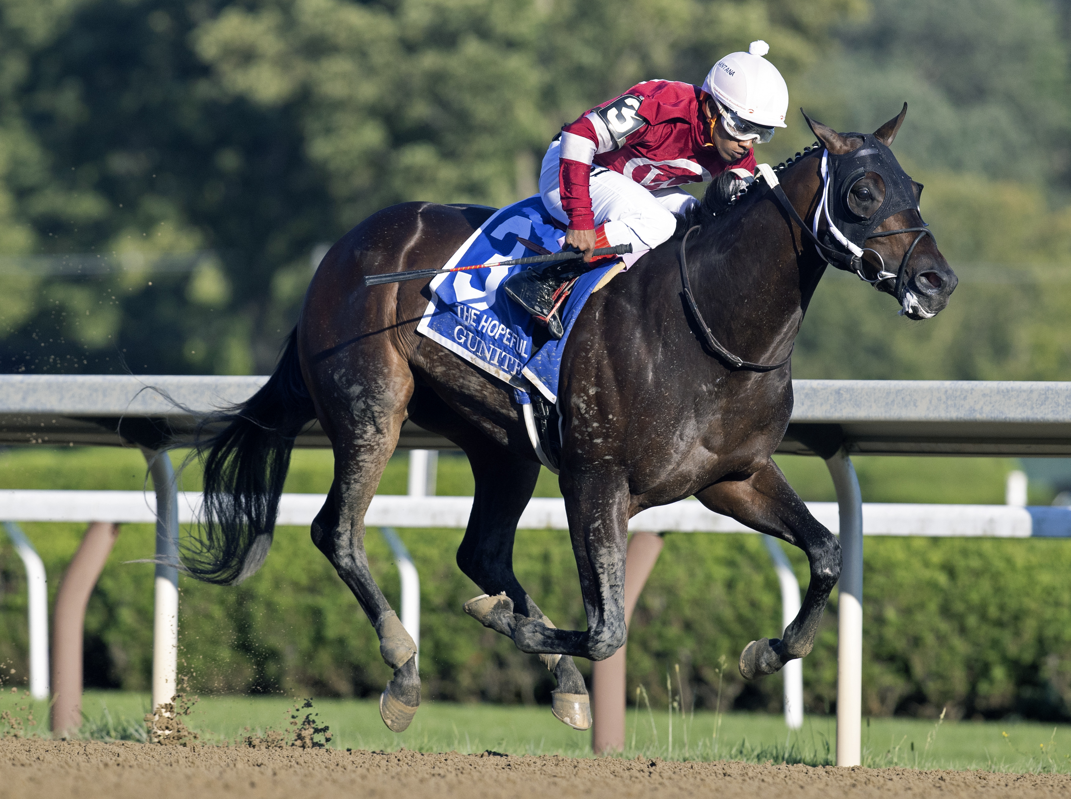 Gunite - Hopeful S. 2021