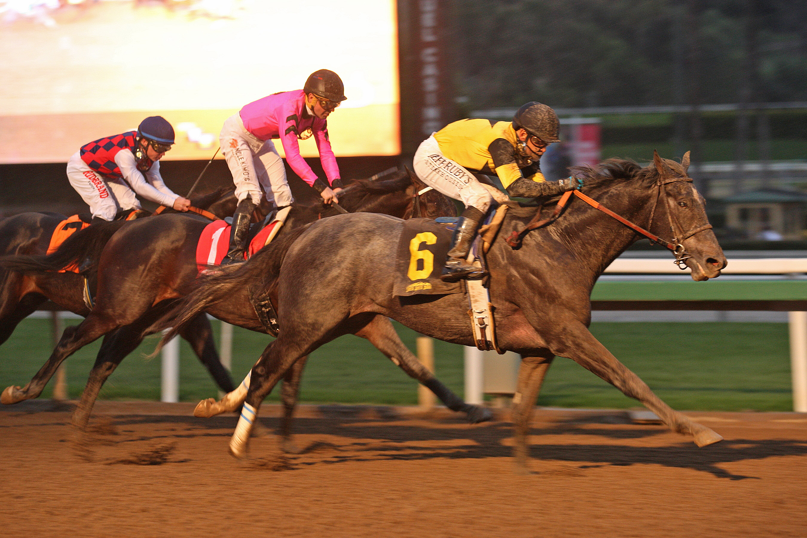 Gunmetal Gray wins 2019 Sham Stakes (Shig)