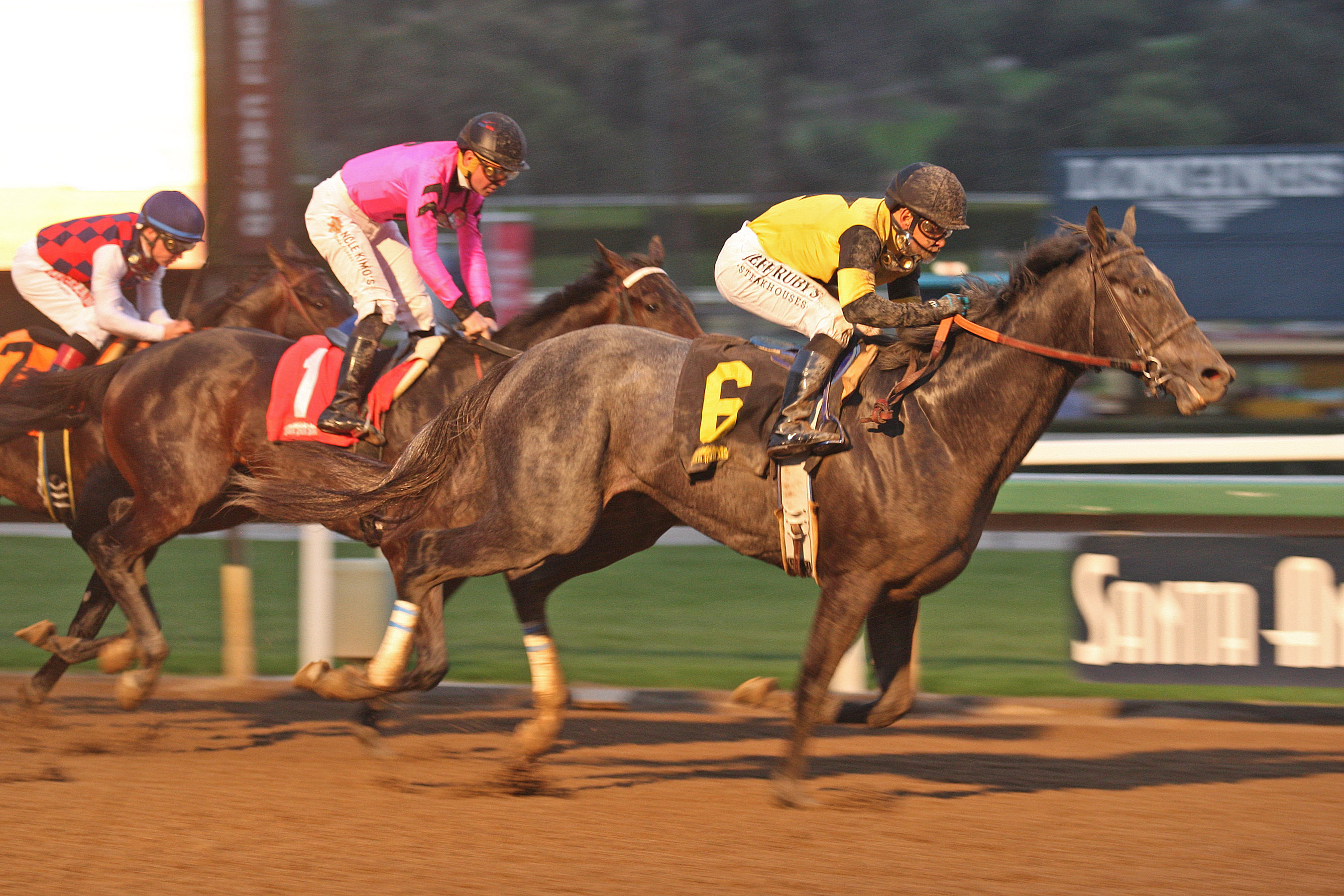 Gunmetal Gray wins 2019 Sham Stakes (Shig, 2)