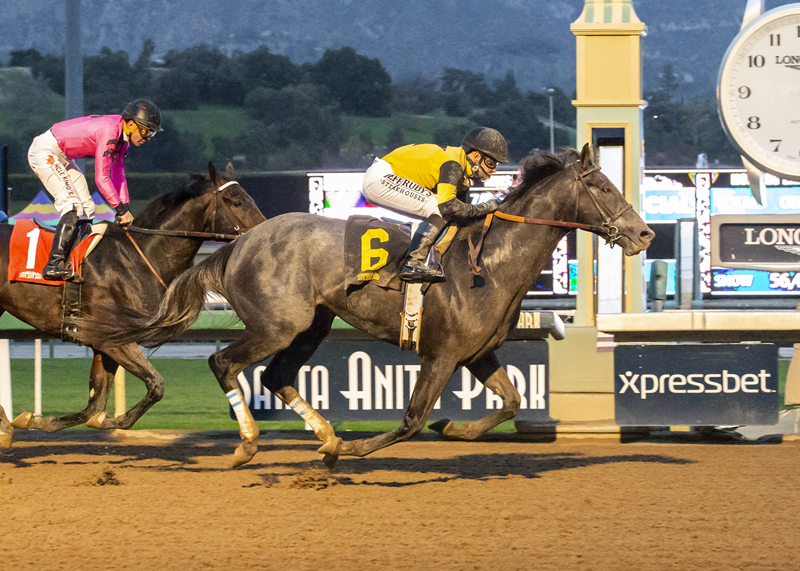 Gunmetal Gray wins 2019 Sham Stakes