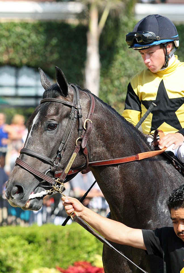 Gunmetal Gray at Del Mar on July 29, 2018