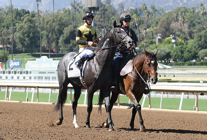 Gunmetal Gray at Santa Anita on Sept. 29