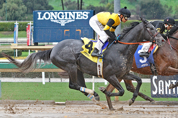 Gunmetal Gray finishes second in the Robert B. Lewis