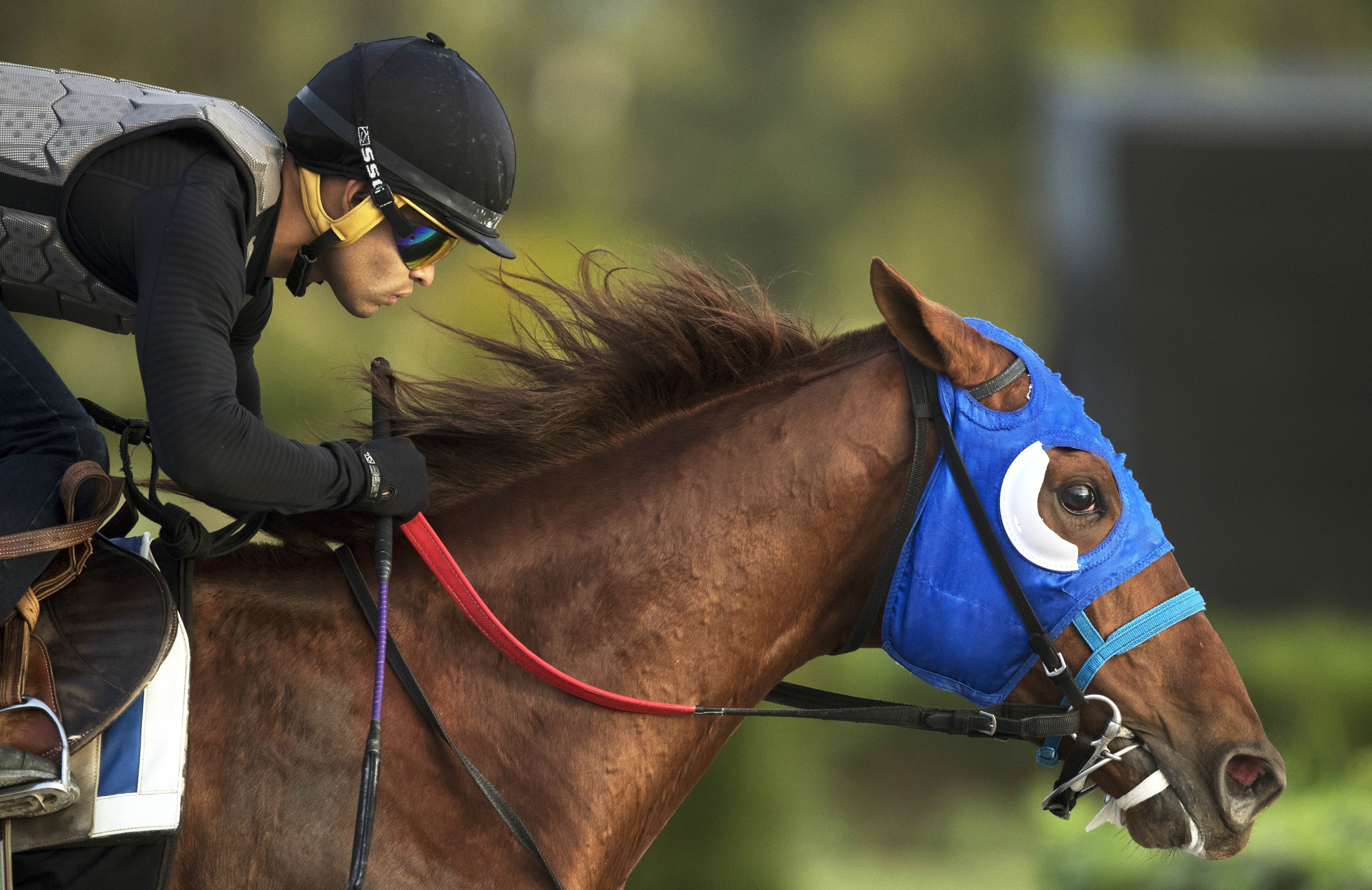 Gunnevera trains at Gulfstream Park West on Jan. 13
