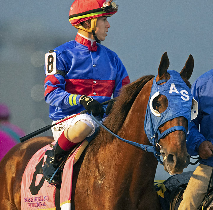 Gunnevera at the 2019 Pegasus World Cup at Gulfstream Park