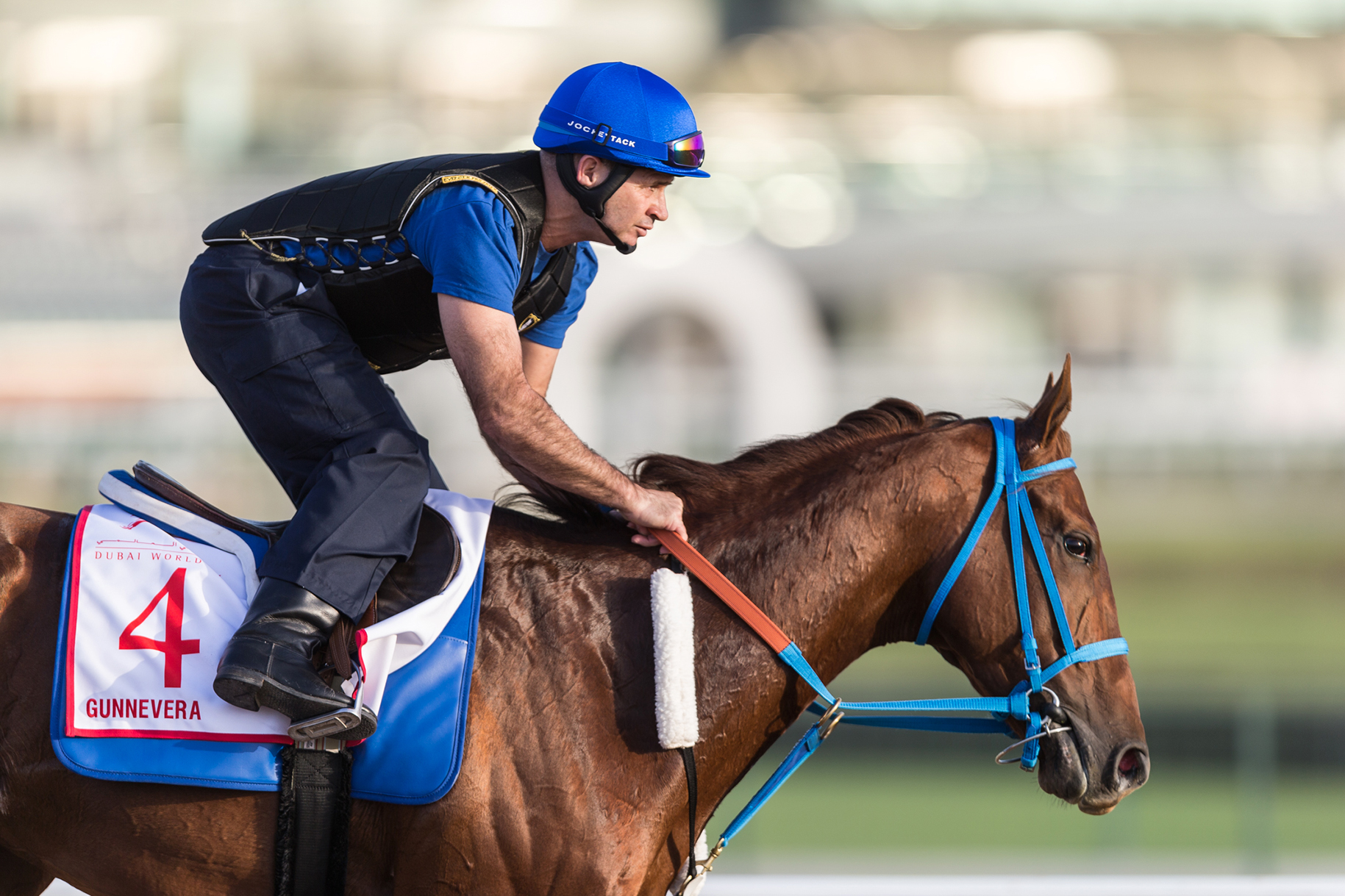 Gunnevera trains at Meydan Racecourse in March 2018