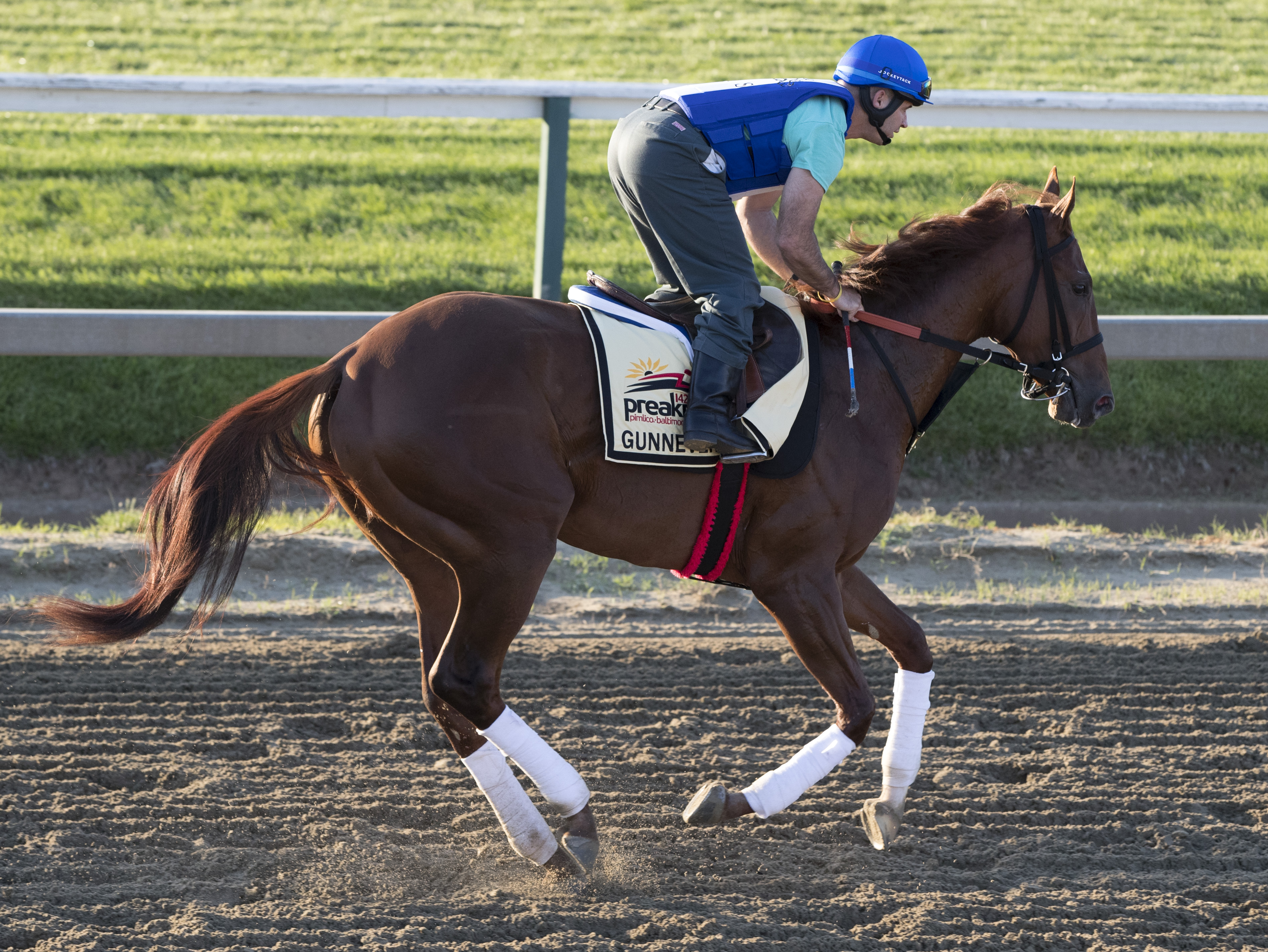 Gunnevera gallops at Pimlico on May 17
