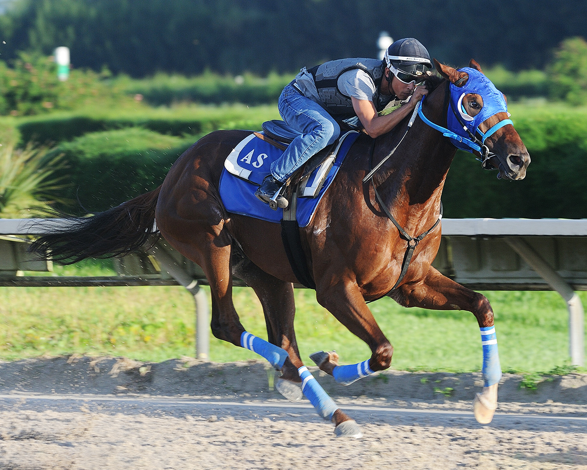 Gunnevera breezes at Gulfstream Park on Aug. 24