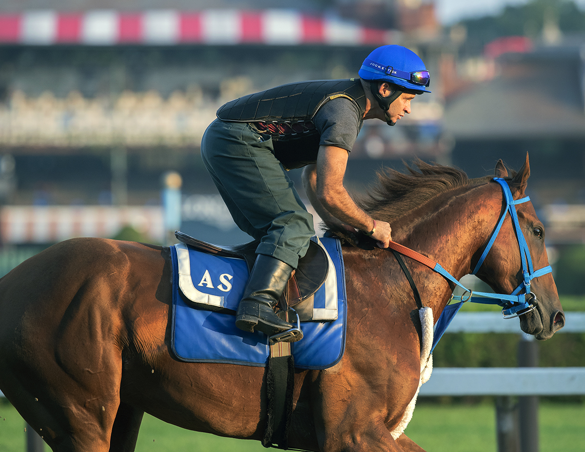 Gunnevera trains at Saratoga on Aug. 29