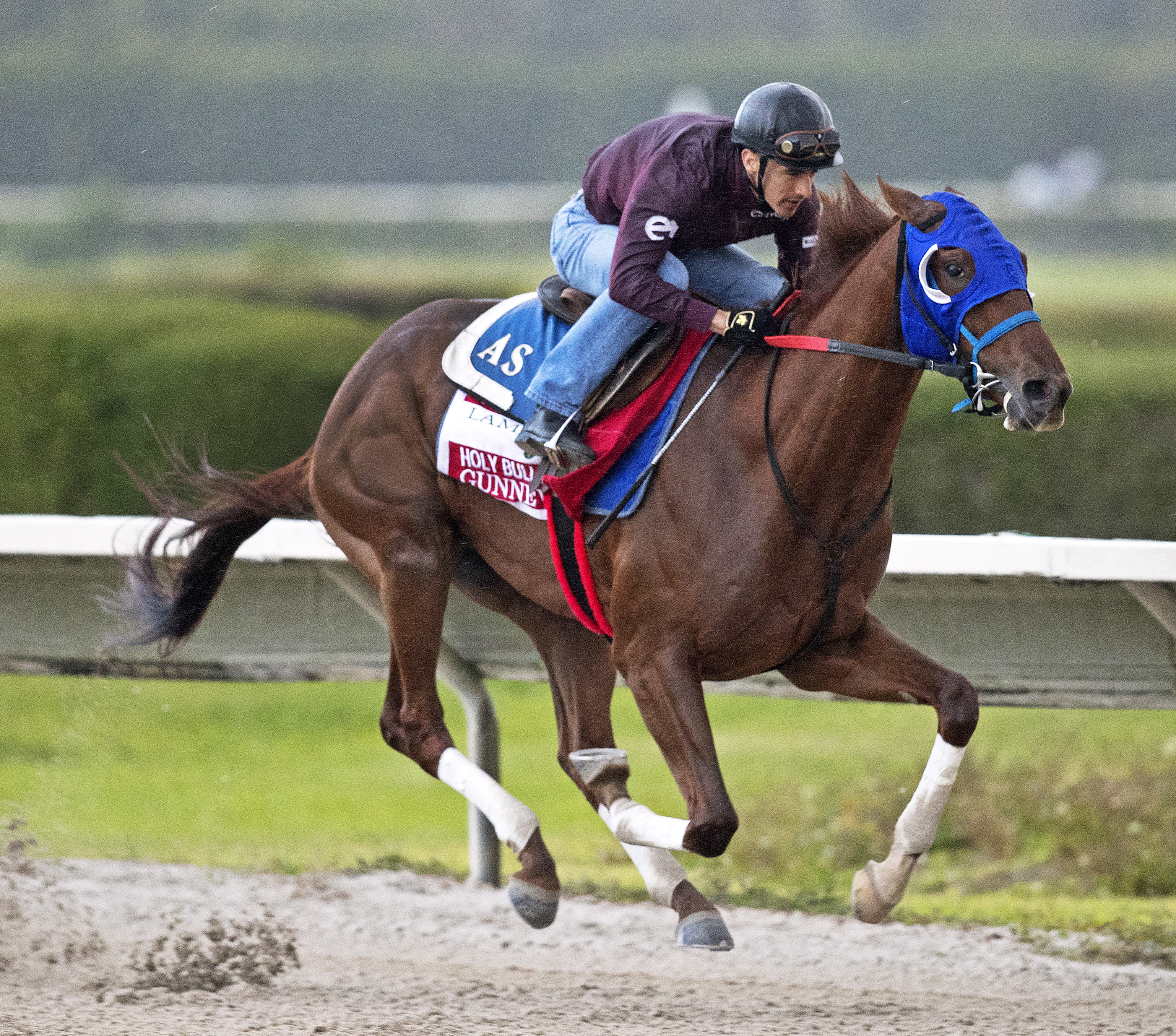 Gunnevera