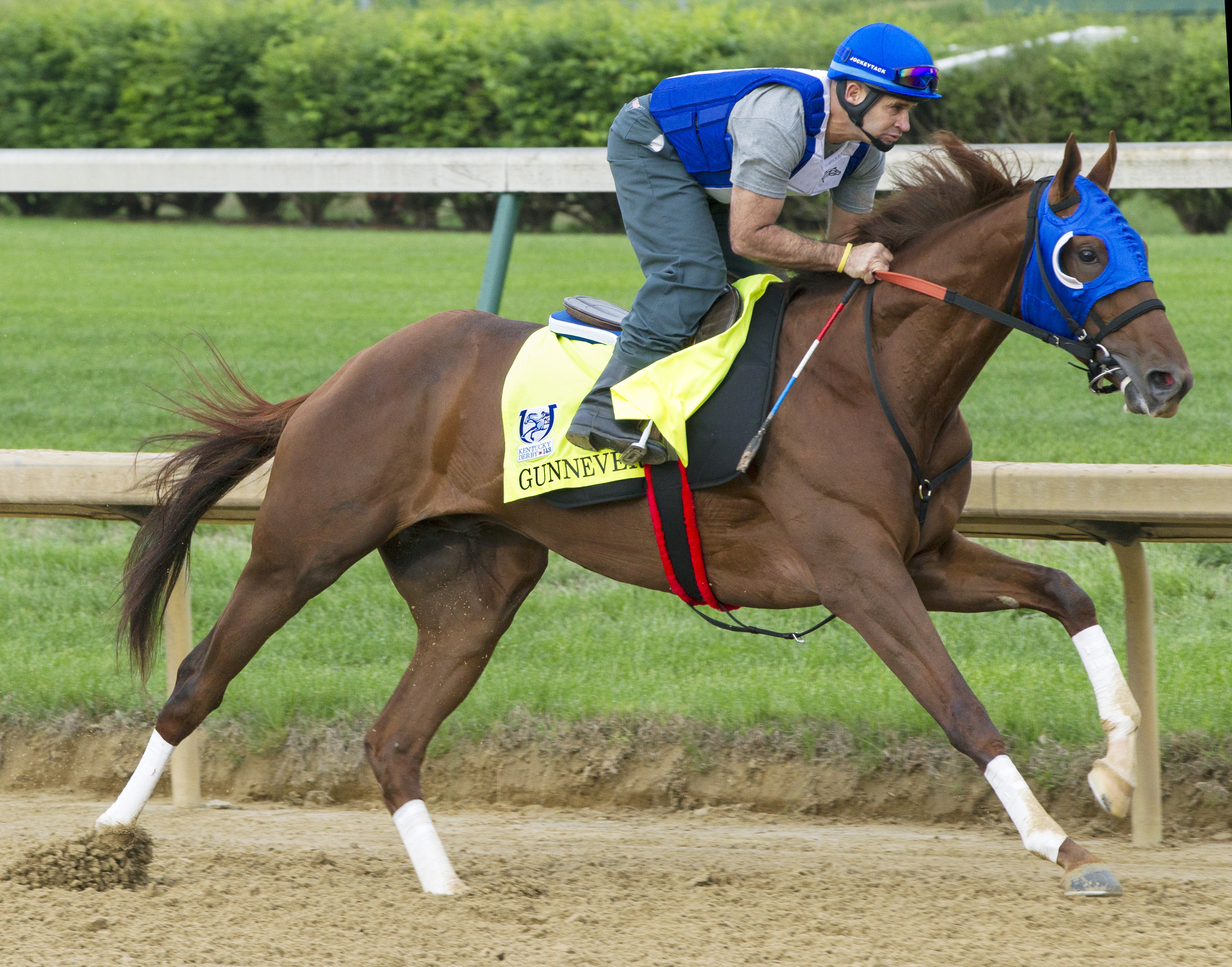 Gunnevera trains at Churchill on April 28