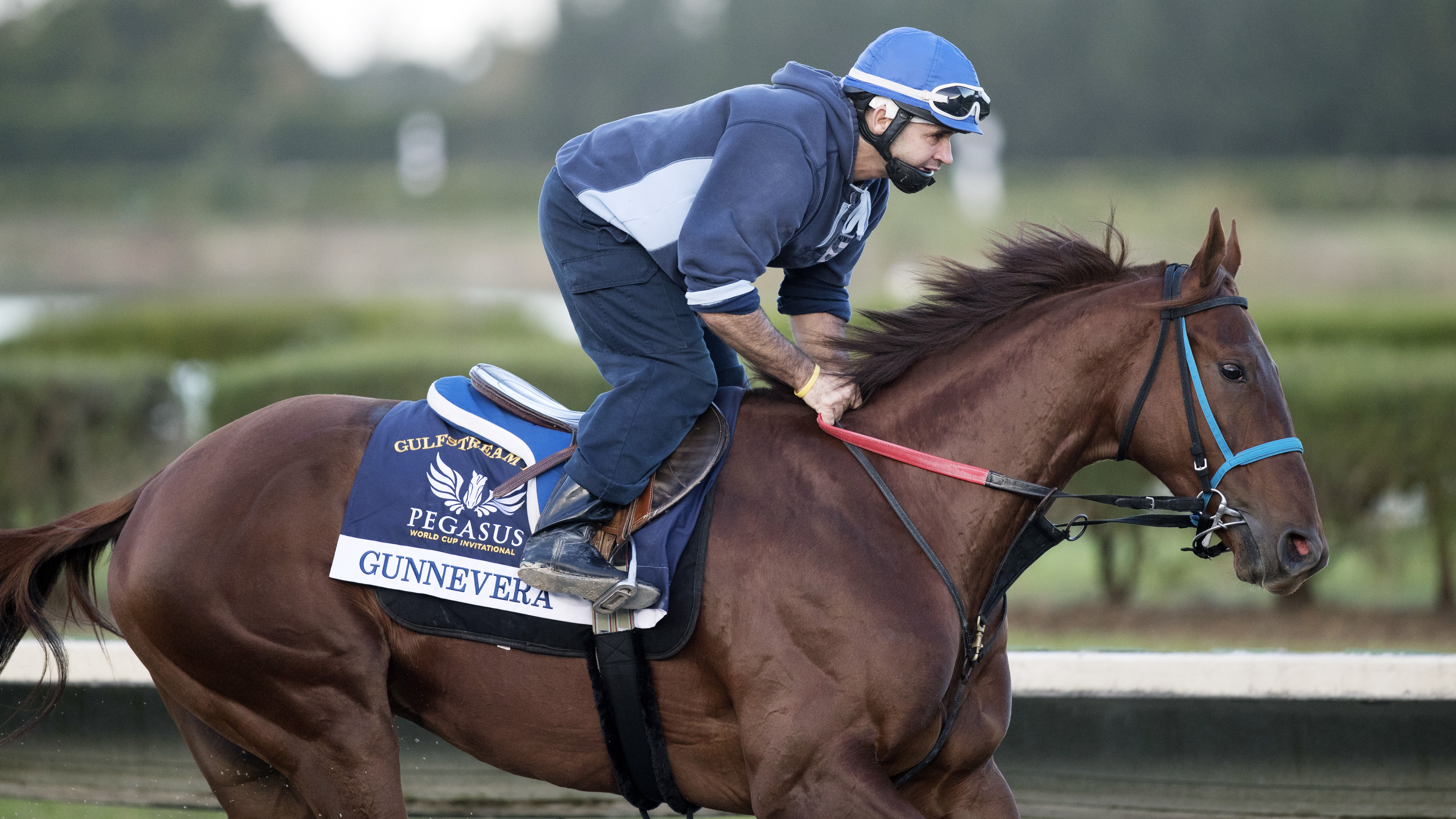 Gunnevera trains at Gulfstream Park West on Jan. 17
