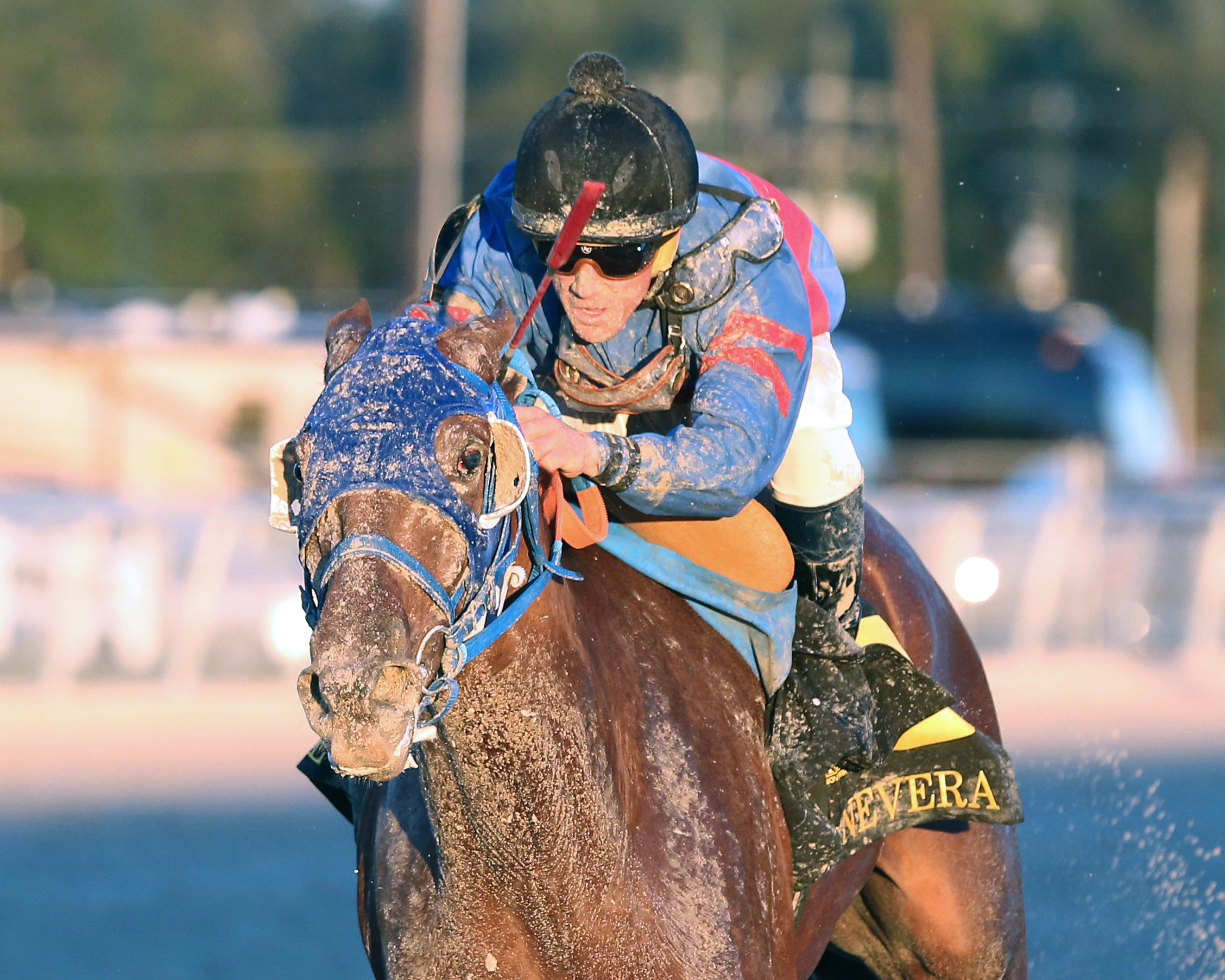 Gunnevera wins the Delta Down Jackpot