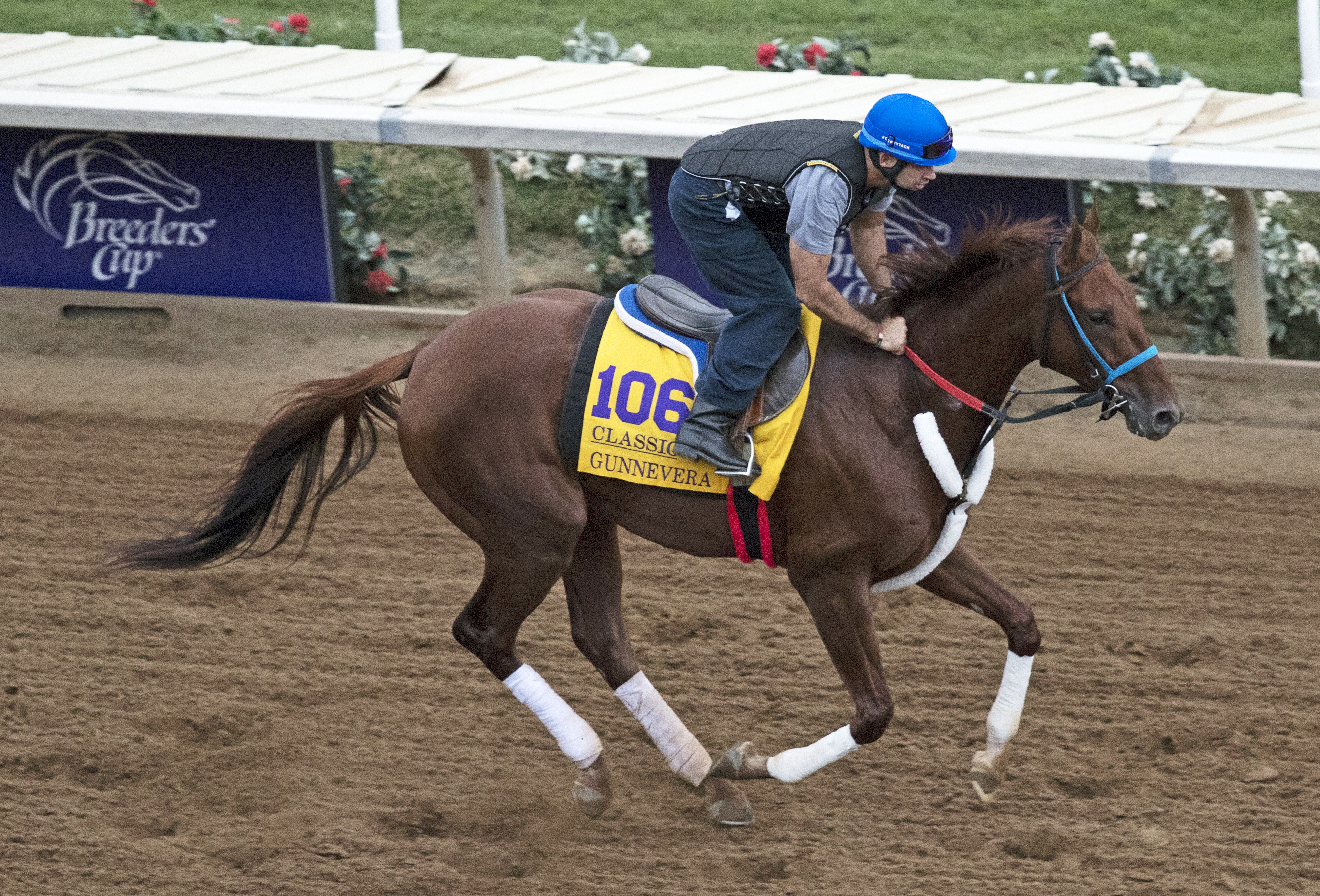 Gunnevera trains at Del Mar on Oct. 30