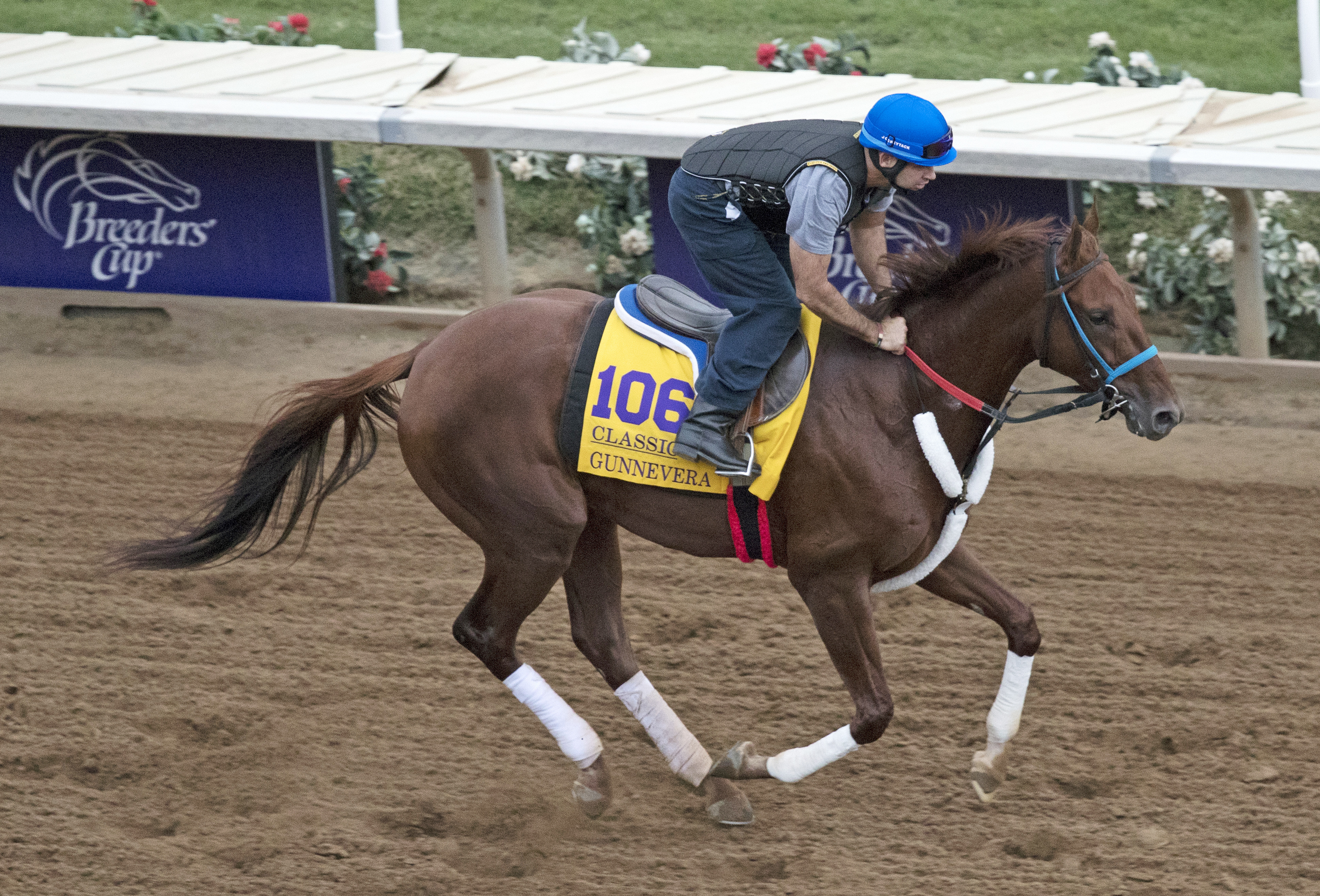 Gunnevera trains at Del Mar on Oct. 30