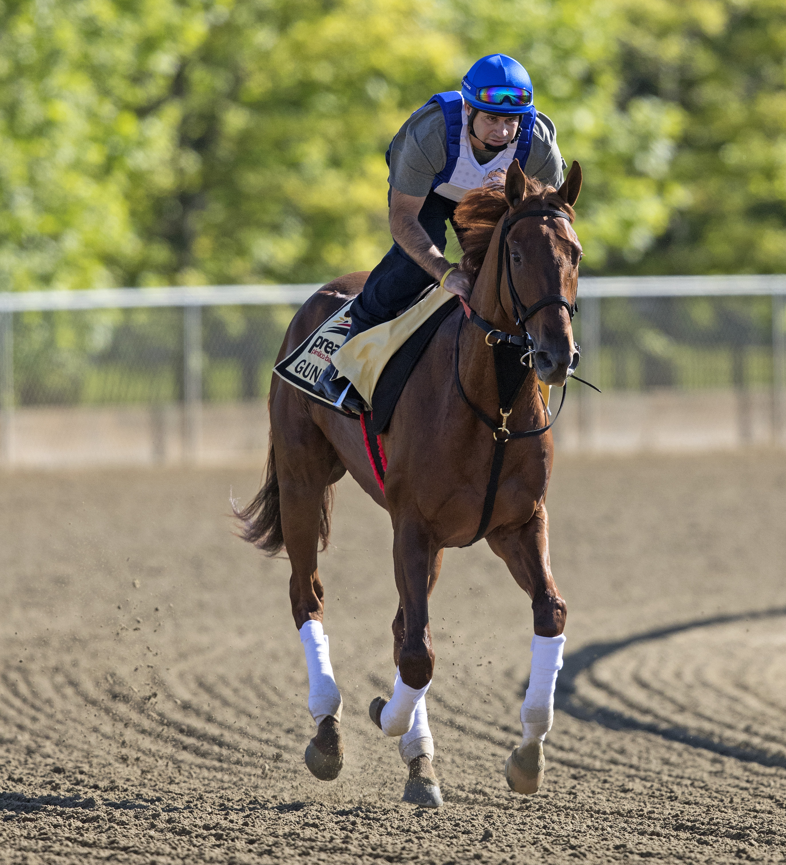 Gunnevera trains at Pimlico on May 16