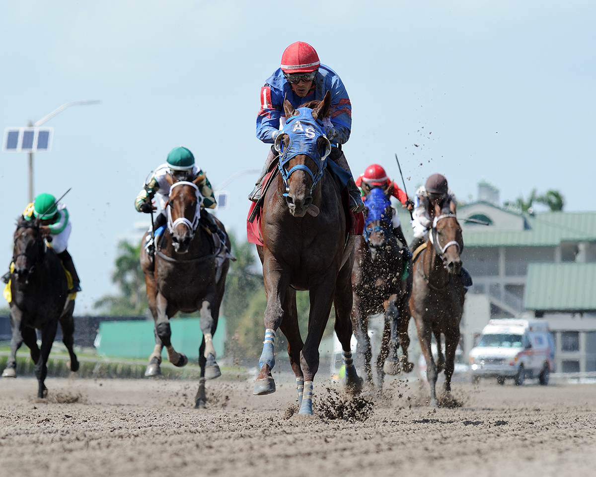 Gunnevera wins an Aug. 10 allowance race at Gulfstream
