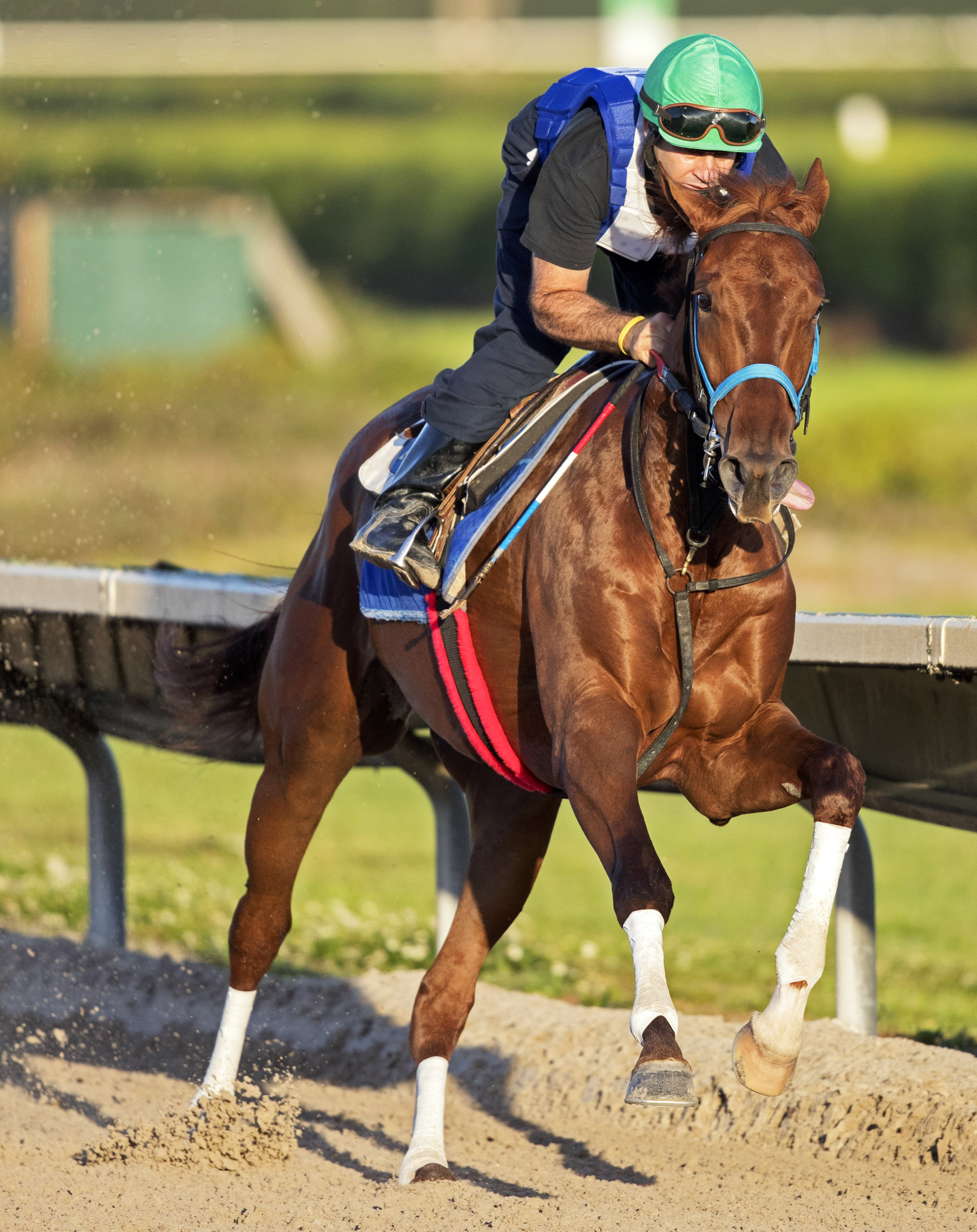 Gunnevera trains at Gulfstream Park West on March 29