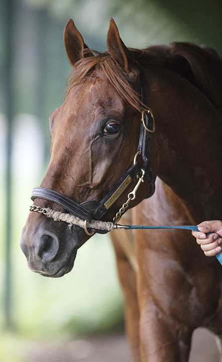 Gunnevera on Aug. 29