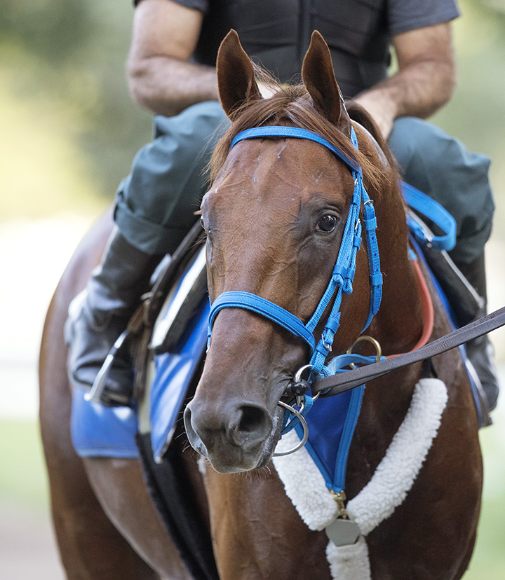 Gunnevera on Aug. 29