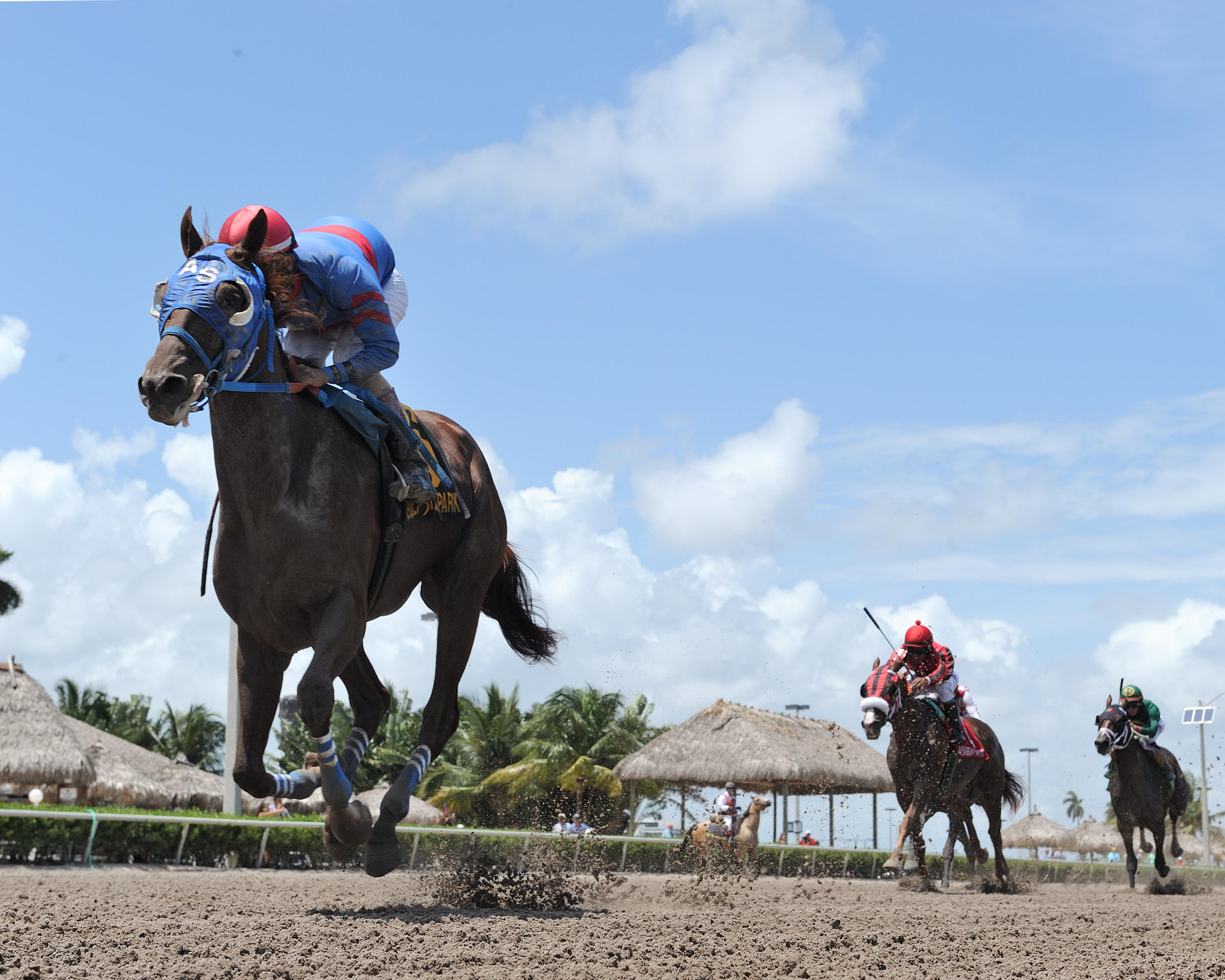 Gunnevera wins the Tangelo Stakes at Gulfstream Park_8.6.17_LM