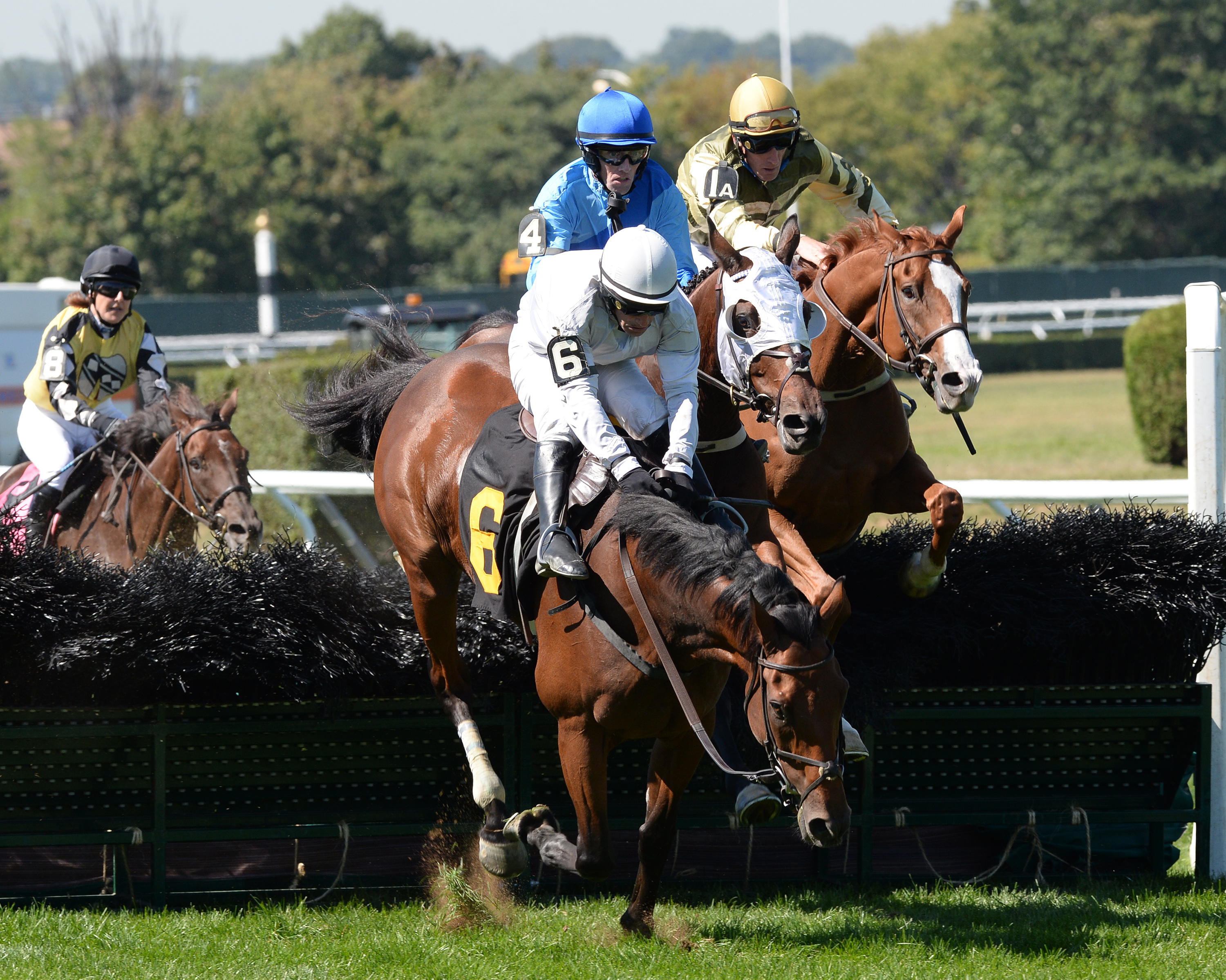 Gustavian wins the Lonesome Glory