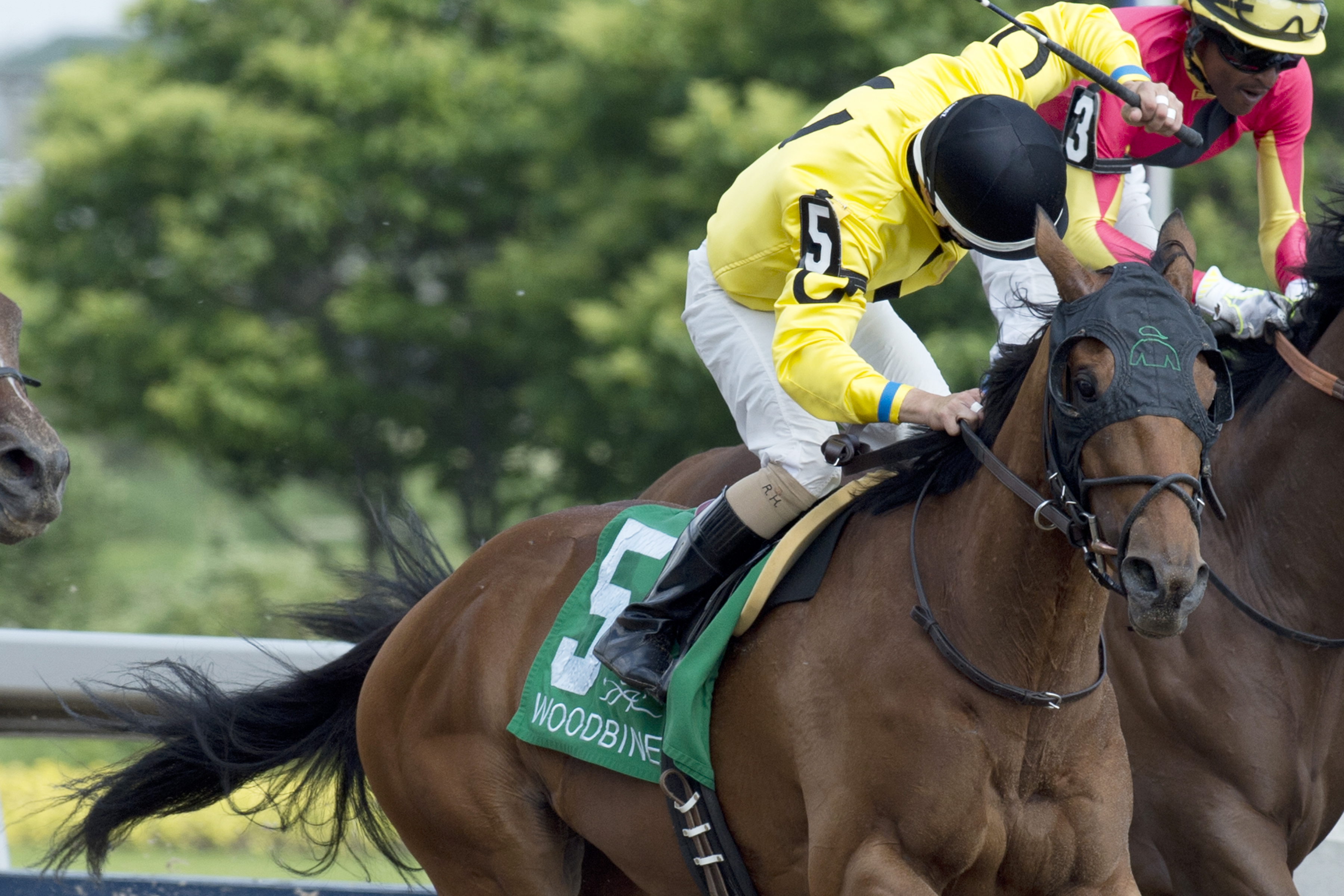 Guy Caballero wins the Plate Trial