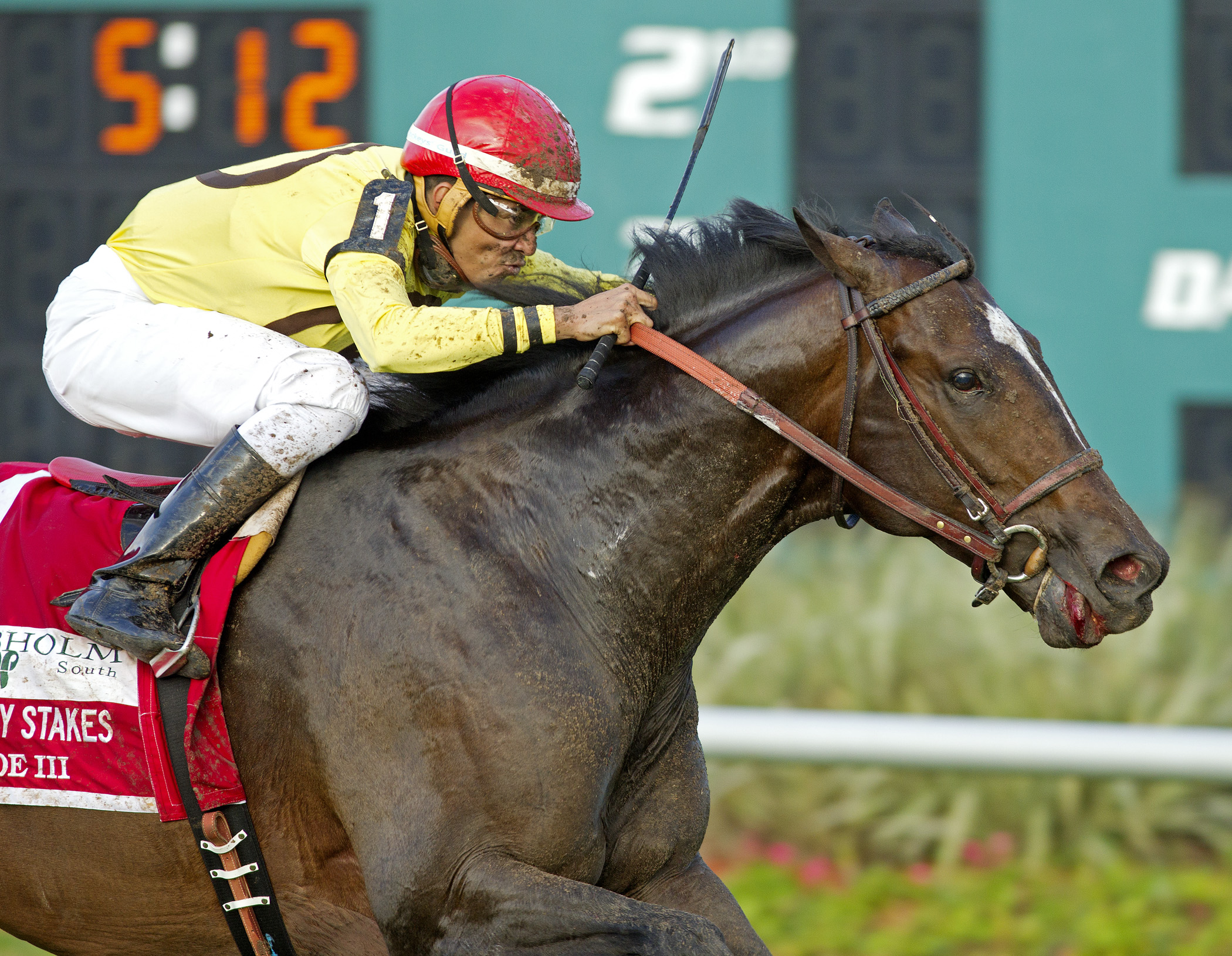 Guys Reward, Tampa Bay Stakes